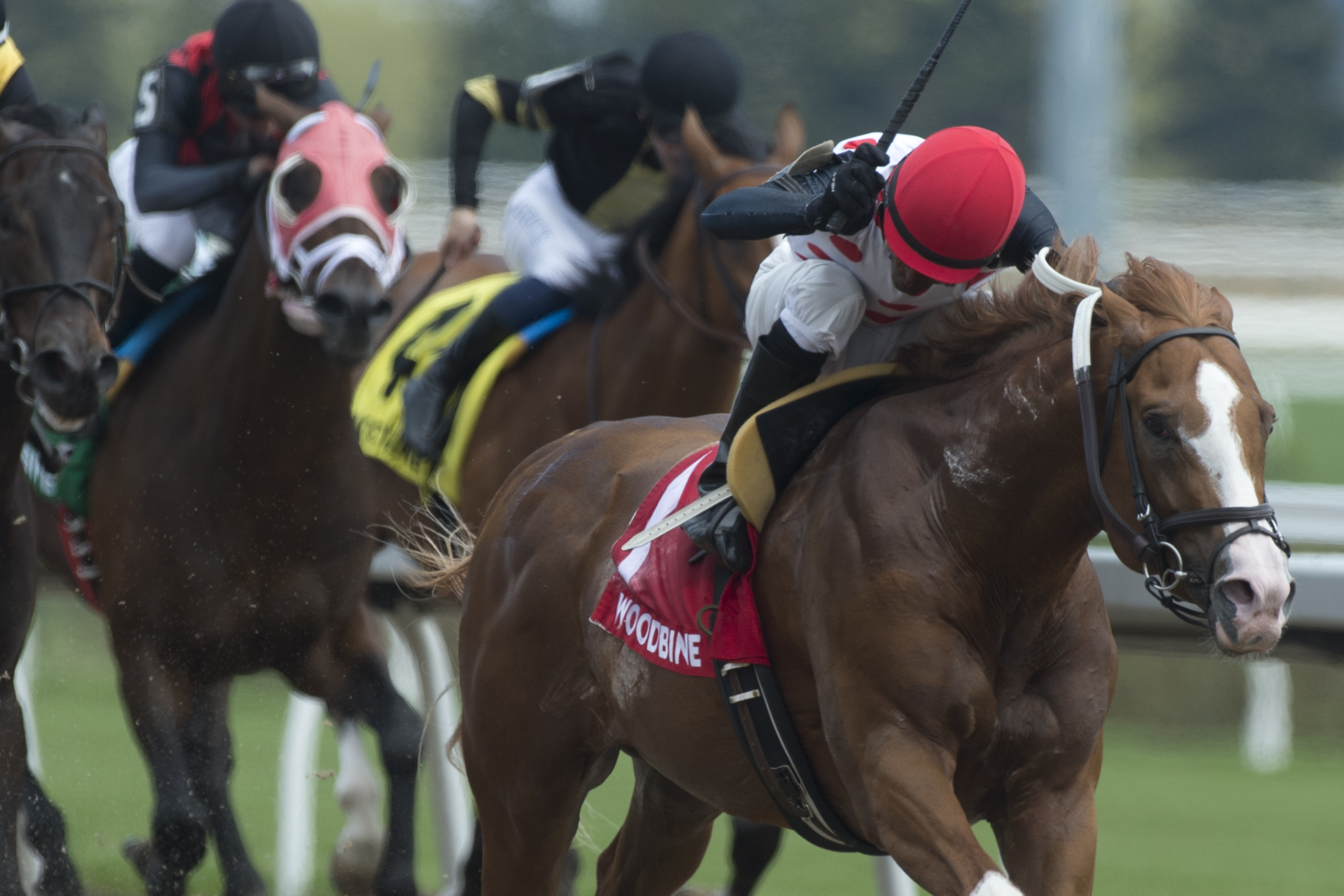 Global Access wins the 2019 Marine Stakes