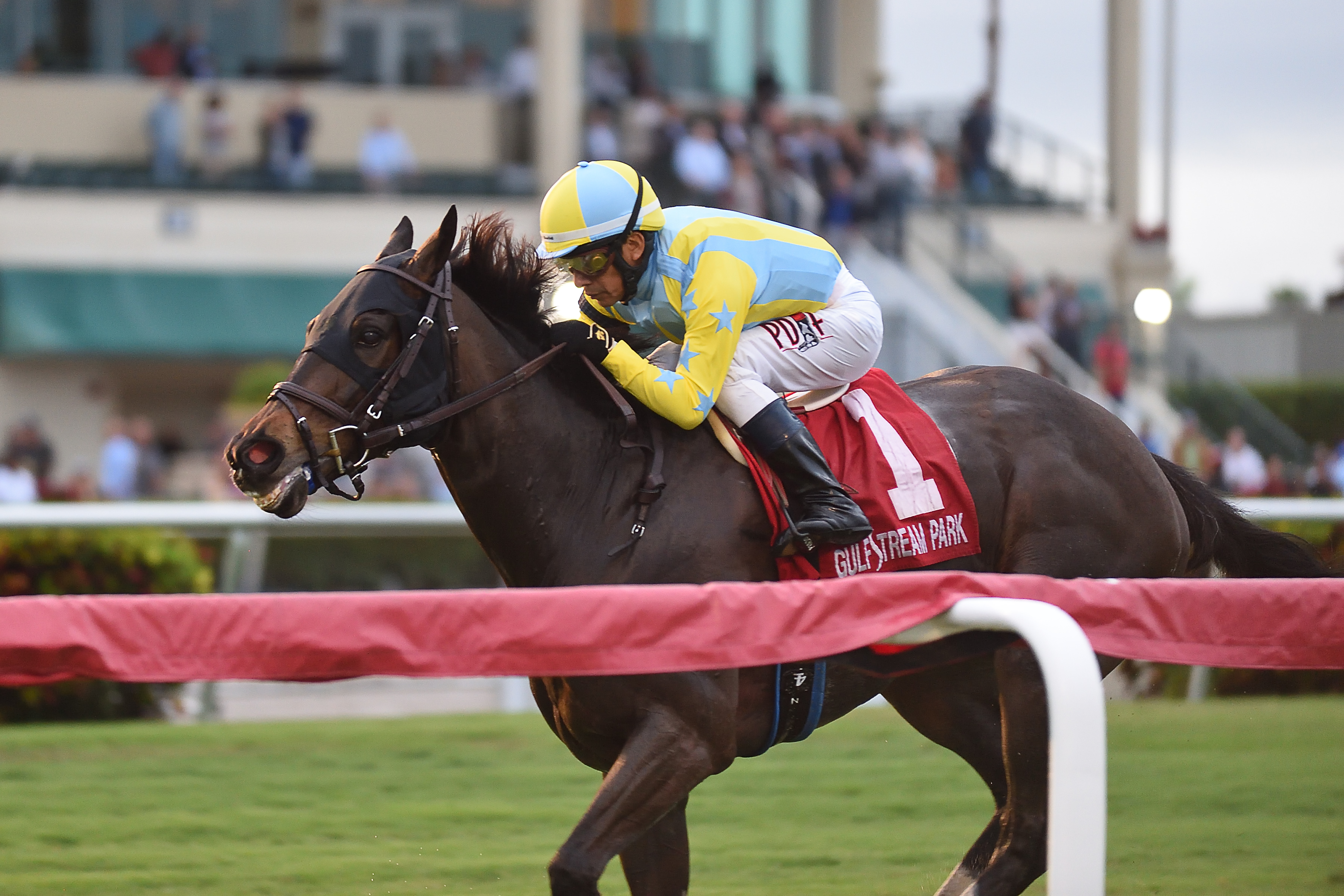 Glorious Empire wins the 2018 Ft. Lauderdale Stakes