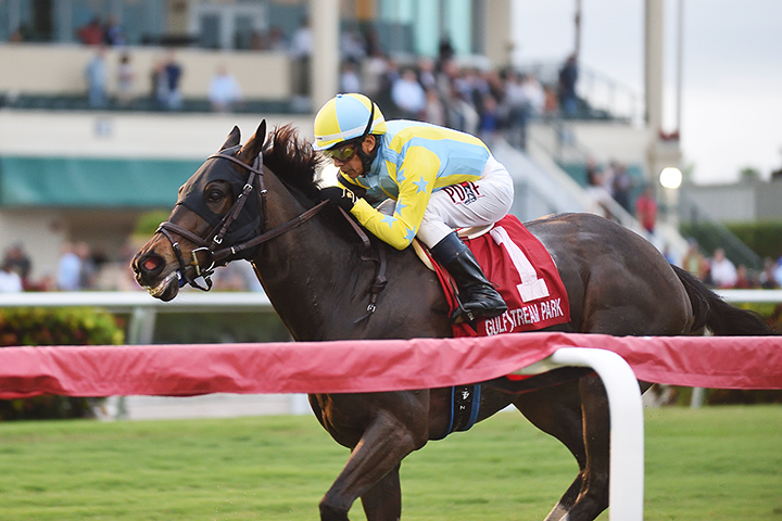 Glorious Empire wins the 2018 Fort Lauderdale