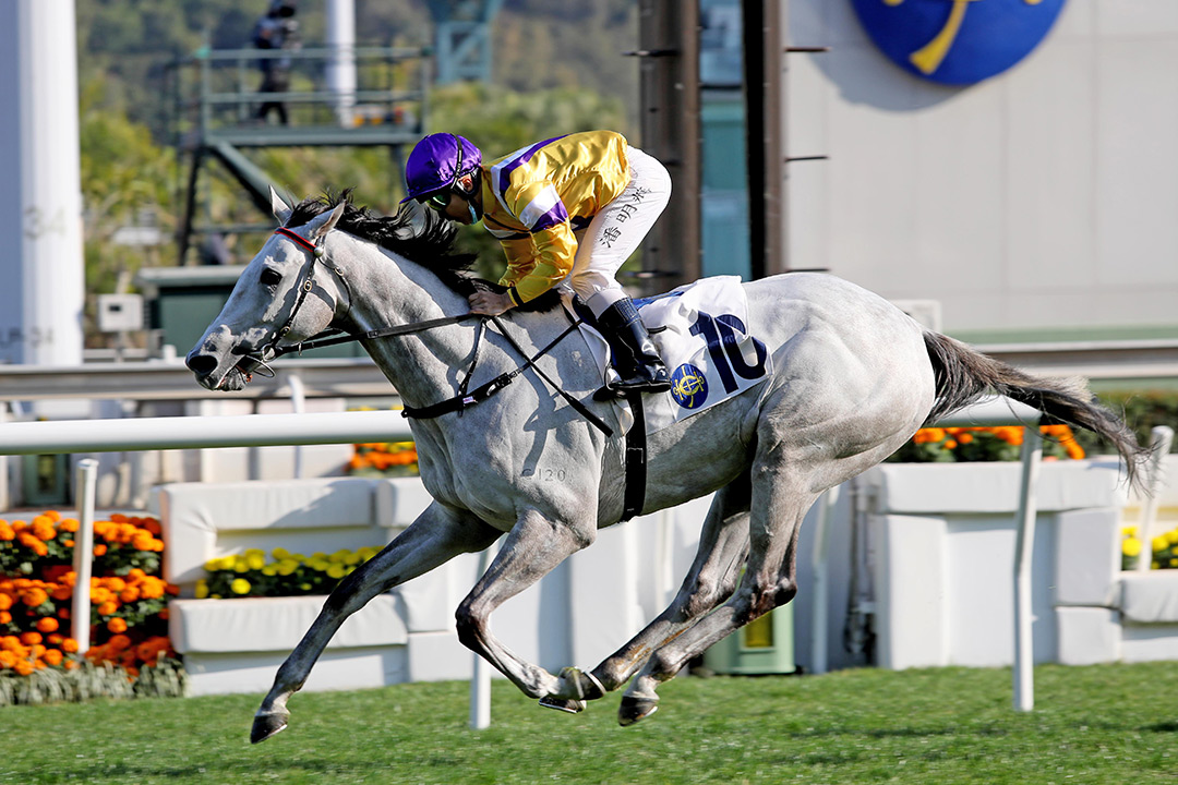 Glorious Dragon wins the Group 3 Centenary Vase Handicap at Sha Tin Racecourse