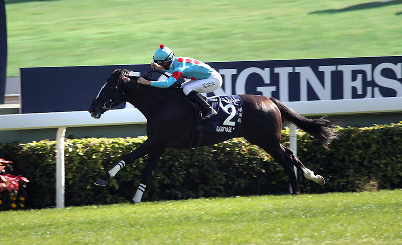 Glory Vase wins the 2019 Hong Kong Vase
