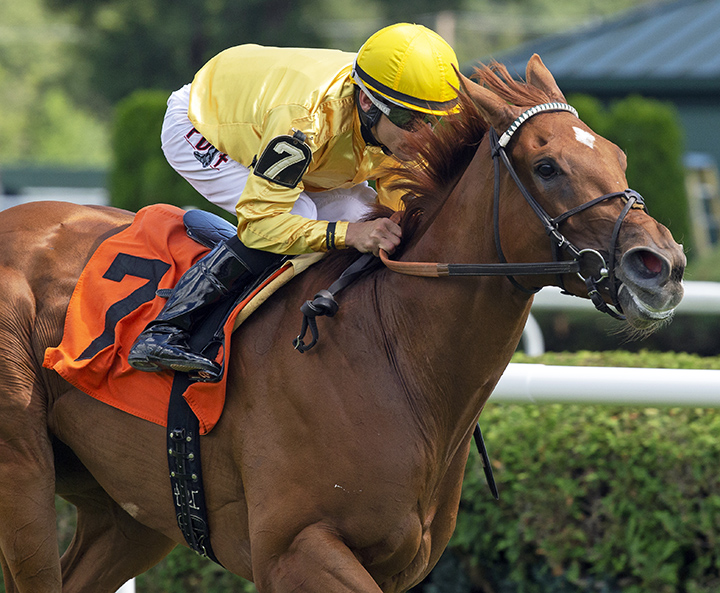 Glossy wins a July 29 allowance at Saratoga