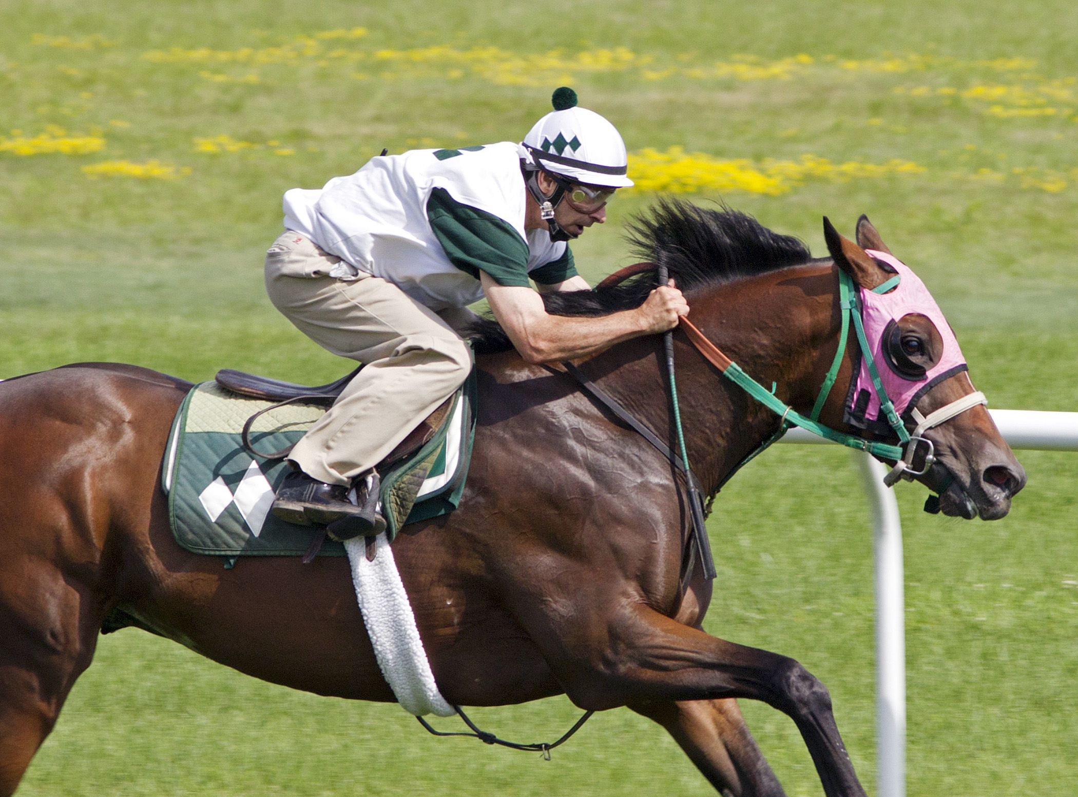 Glowing Ember training in July