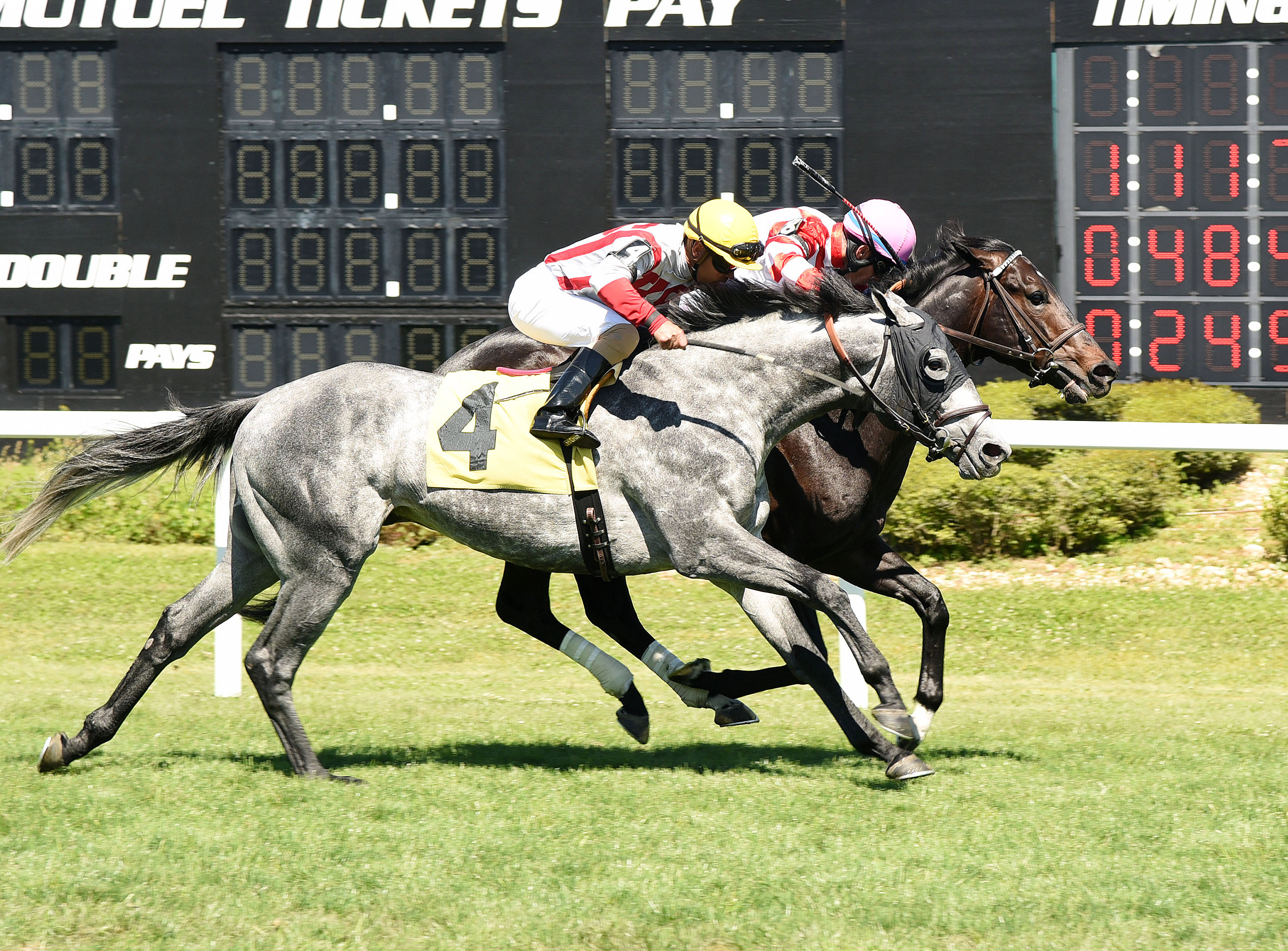 Go Around wins the Tampa Turf Classic