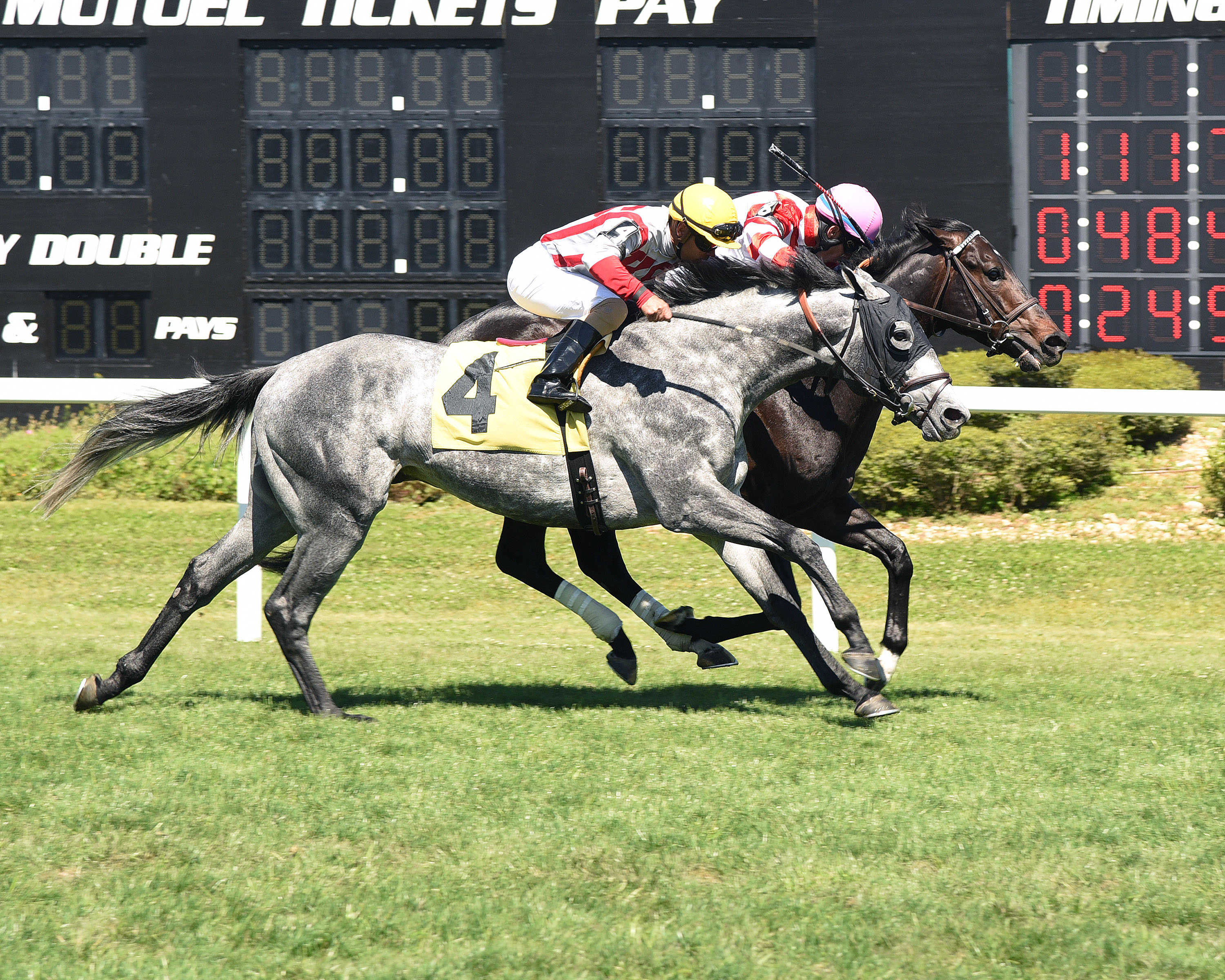 Fundamental finishes second in the Tampa Turf Classic