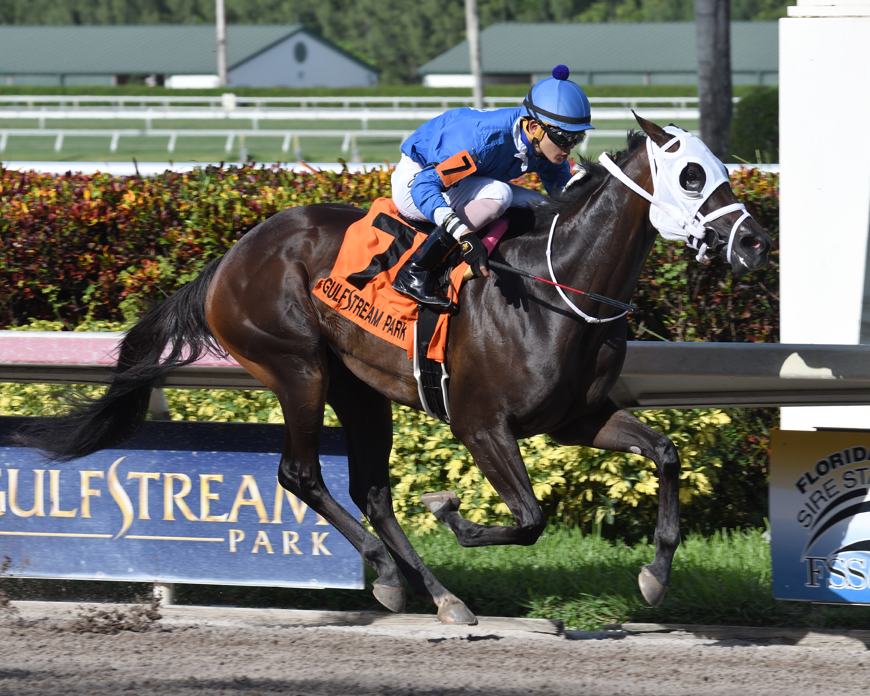 Go Astray wins the 2017 Desert Vixen