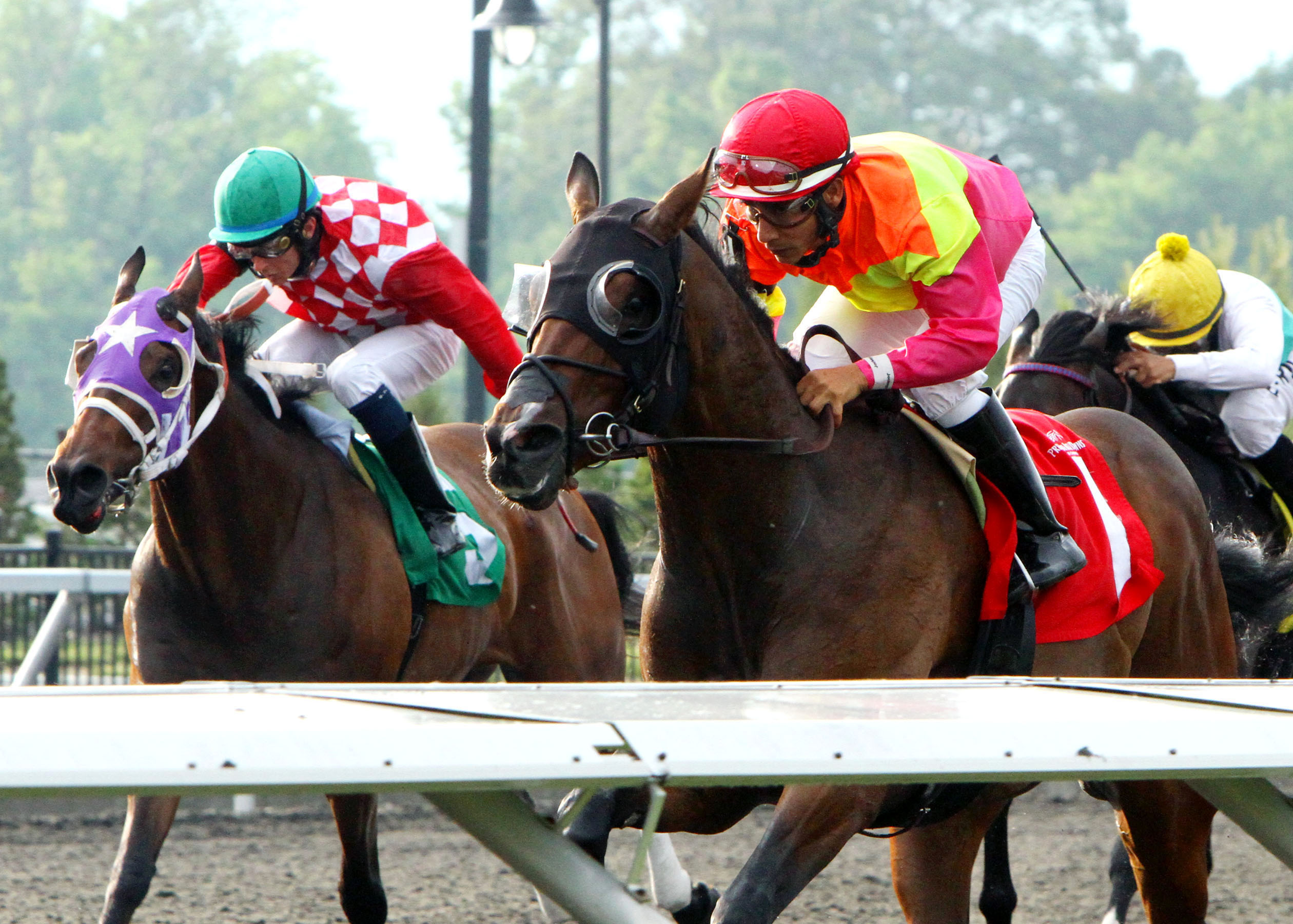 Go Blue or Go Home, Karl Boyes Memorial Stakes