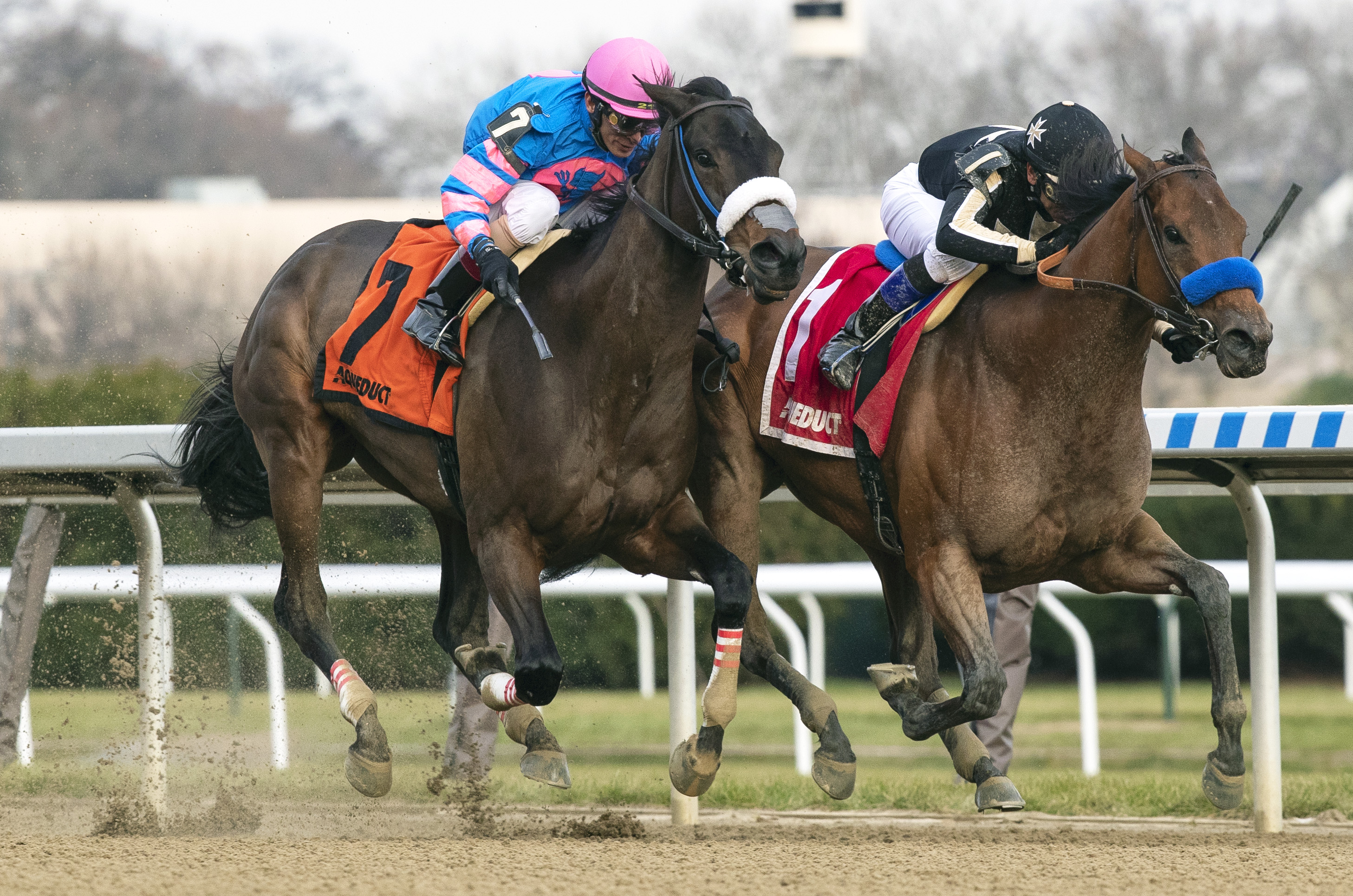 Marley's Freedom wins 2018 Go For Wand