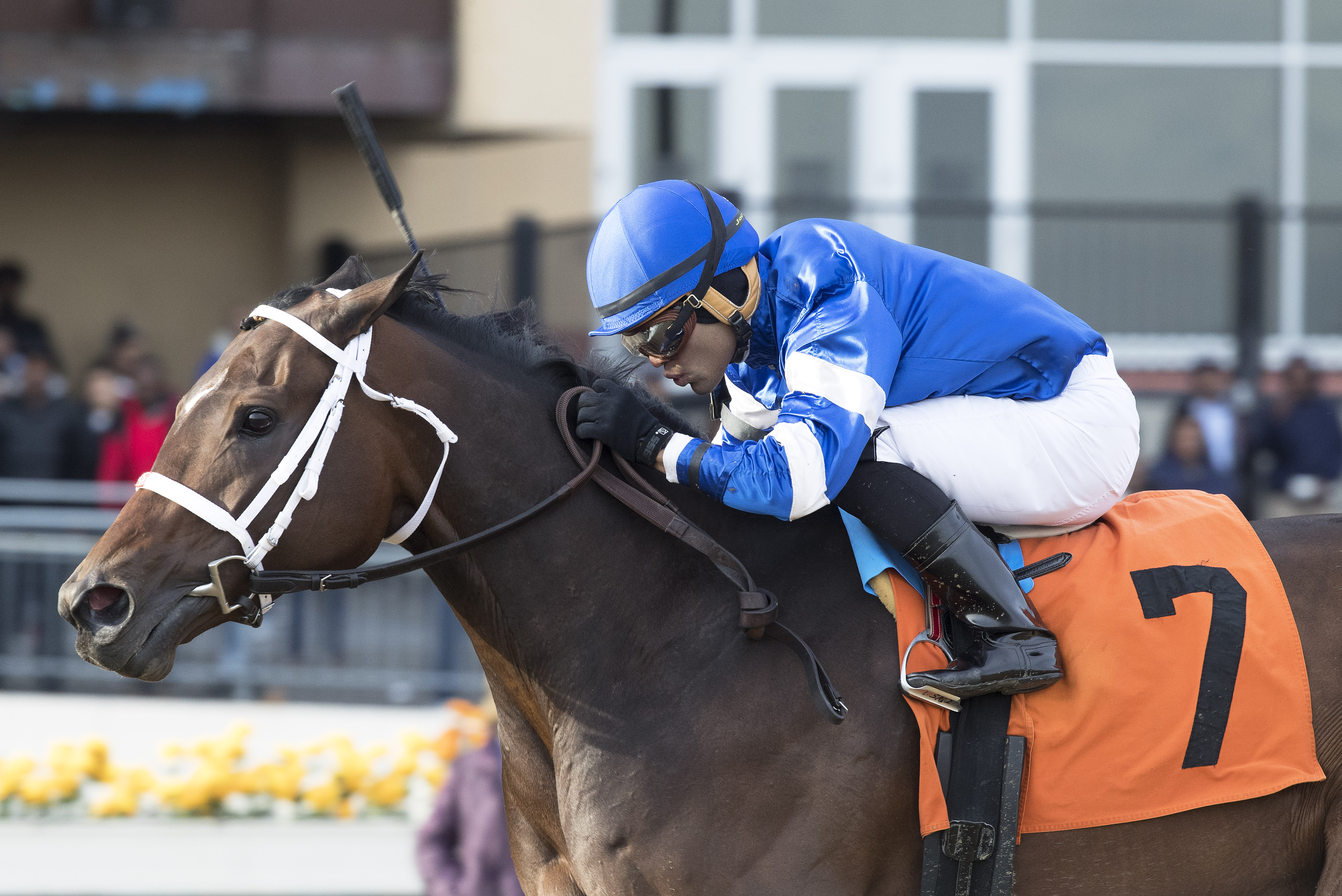 Indulgent wins the 2017 Go For Wand Handicap