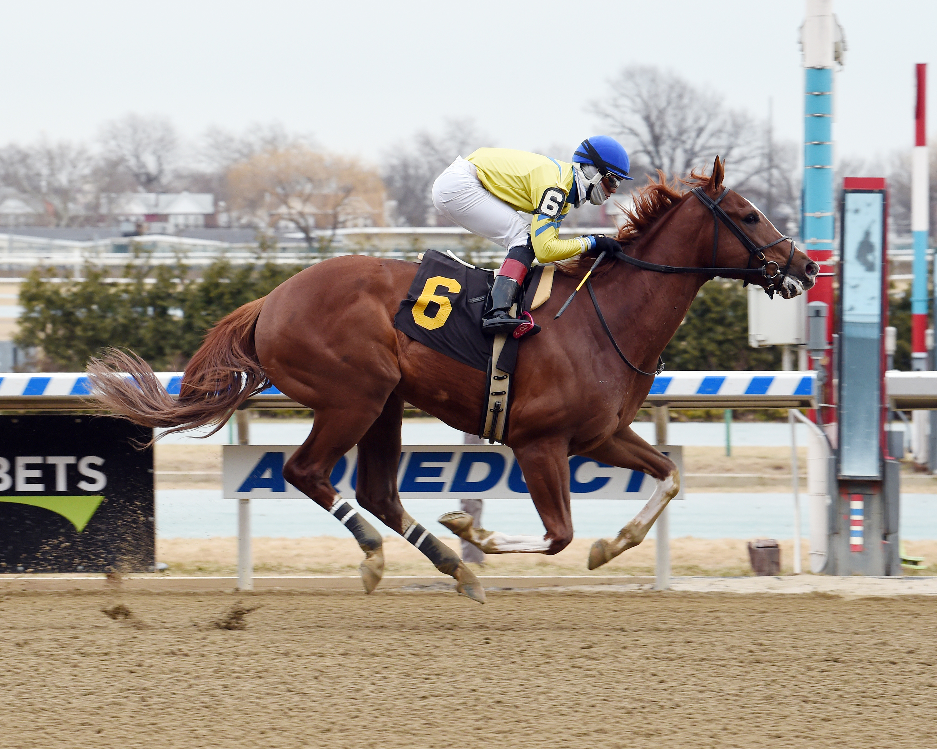 Go Get the Munny wins a Feb. 1 maiden race