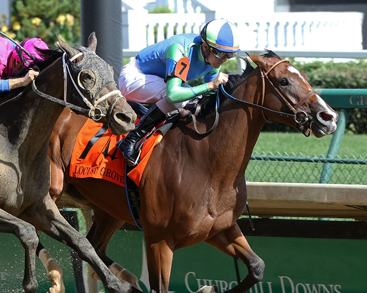 Go Google Yourself wins the 2019 Locust Grove Stakes at Churchill Downs