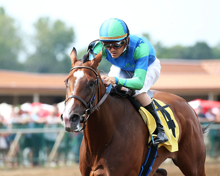 Go Google Yourself wins the 2019 Groupie Doll at Ellis Park