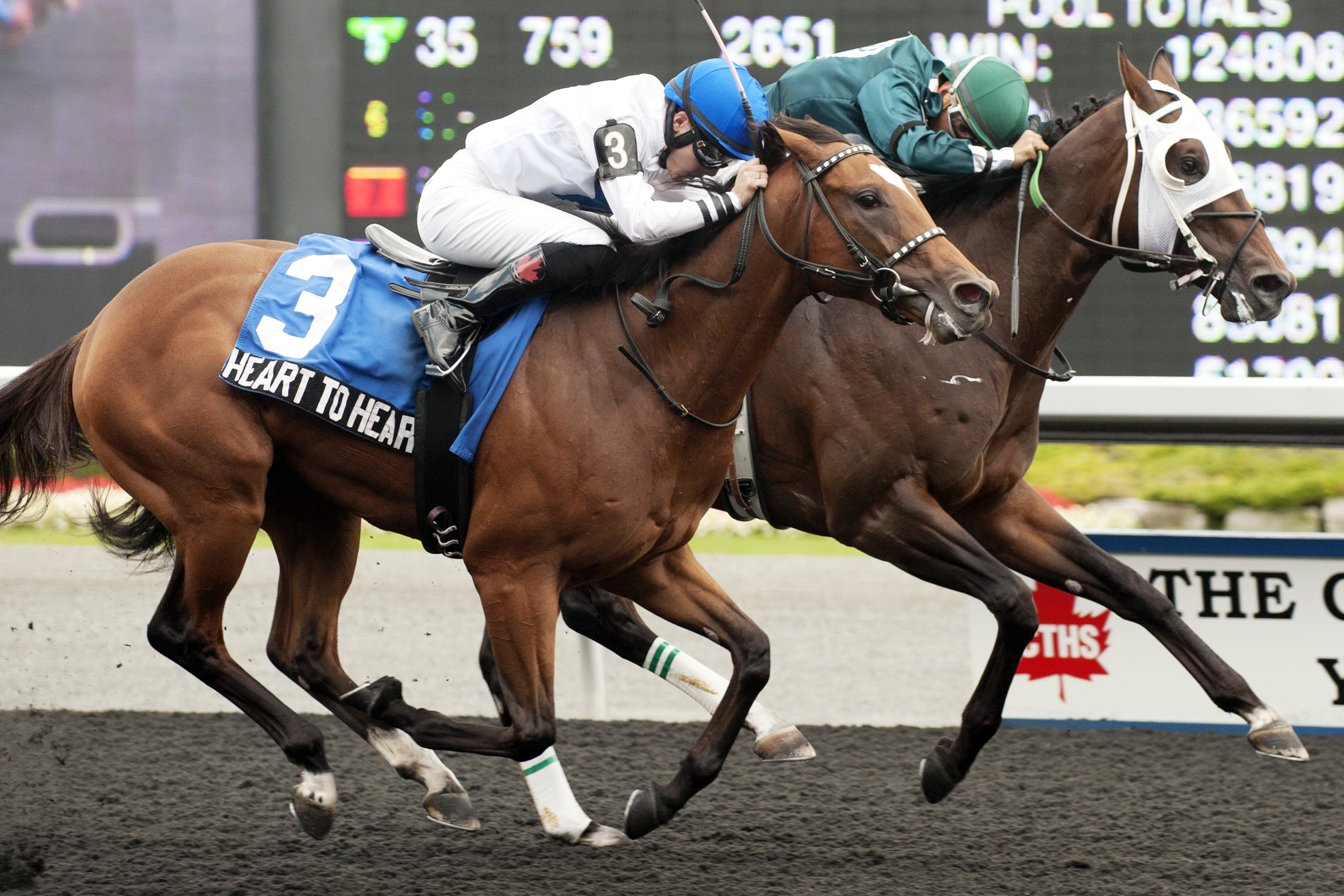 Go Greeley wins the Vandal Stakes