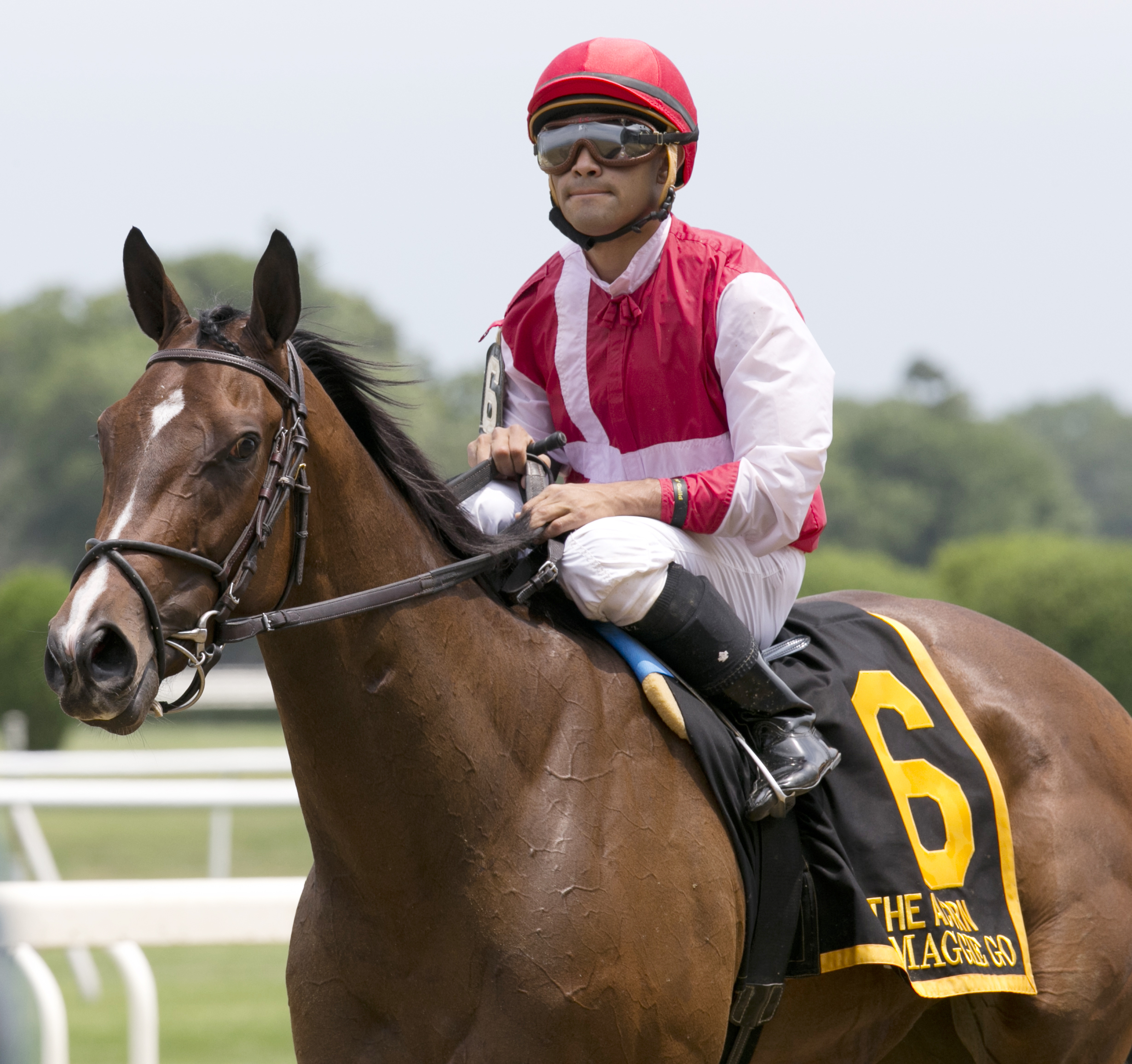 Go Maggie Go at the Acorn Stakes