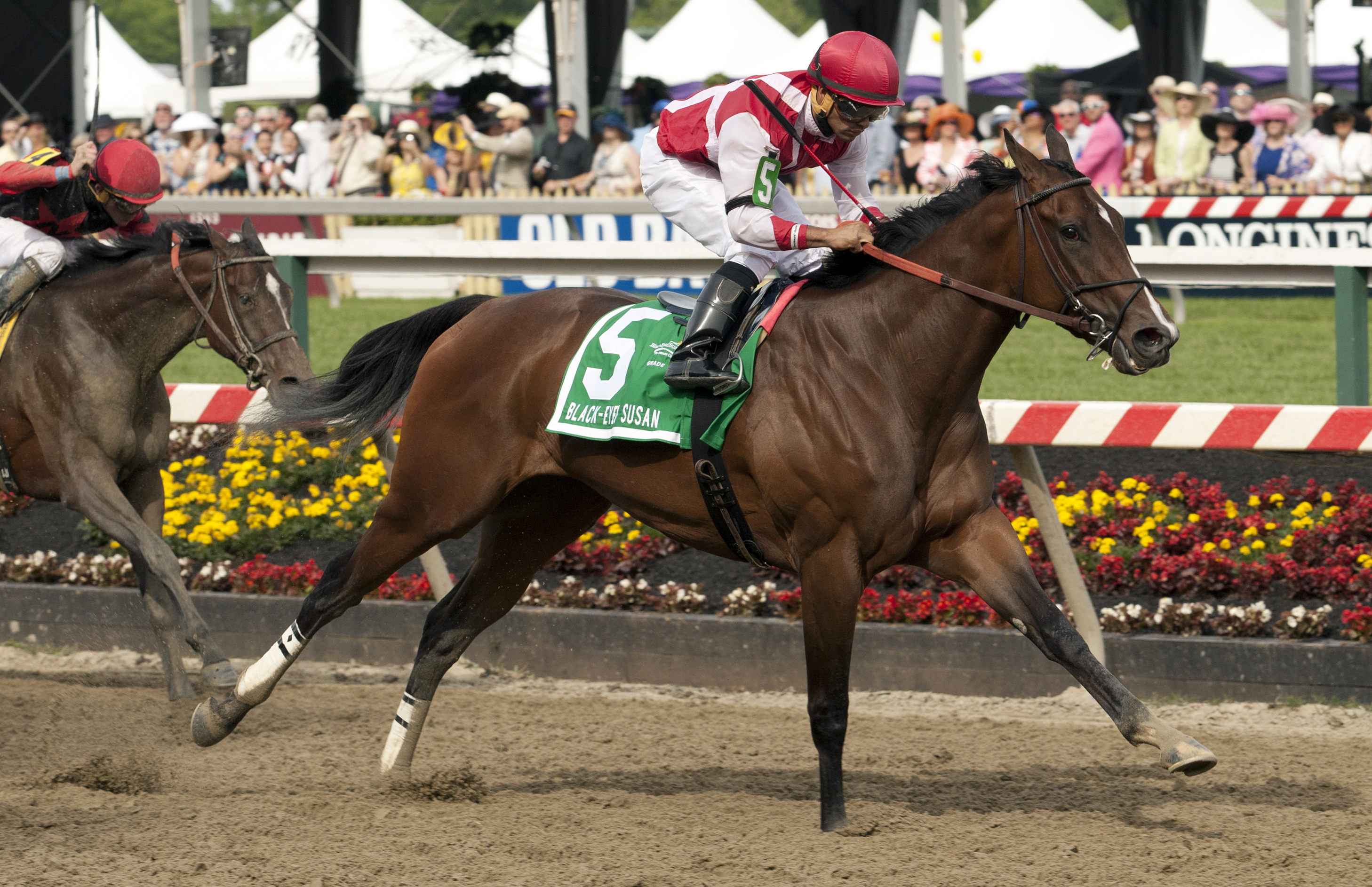 Go Maggie Go wins the Black-Eyed Susan Stakes