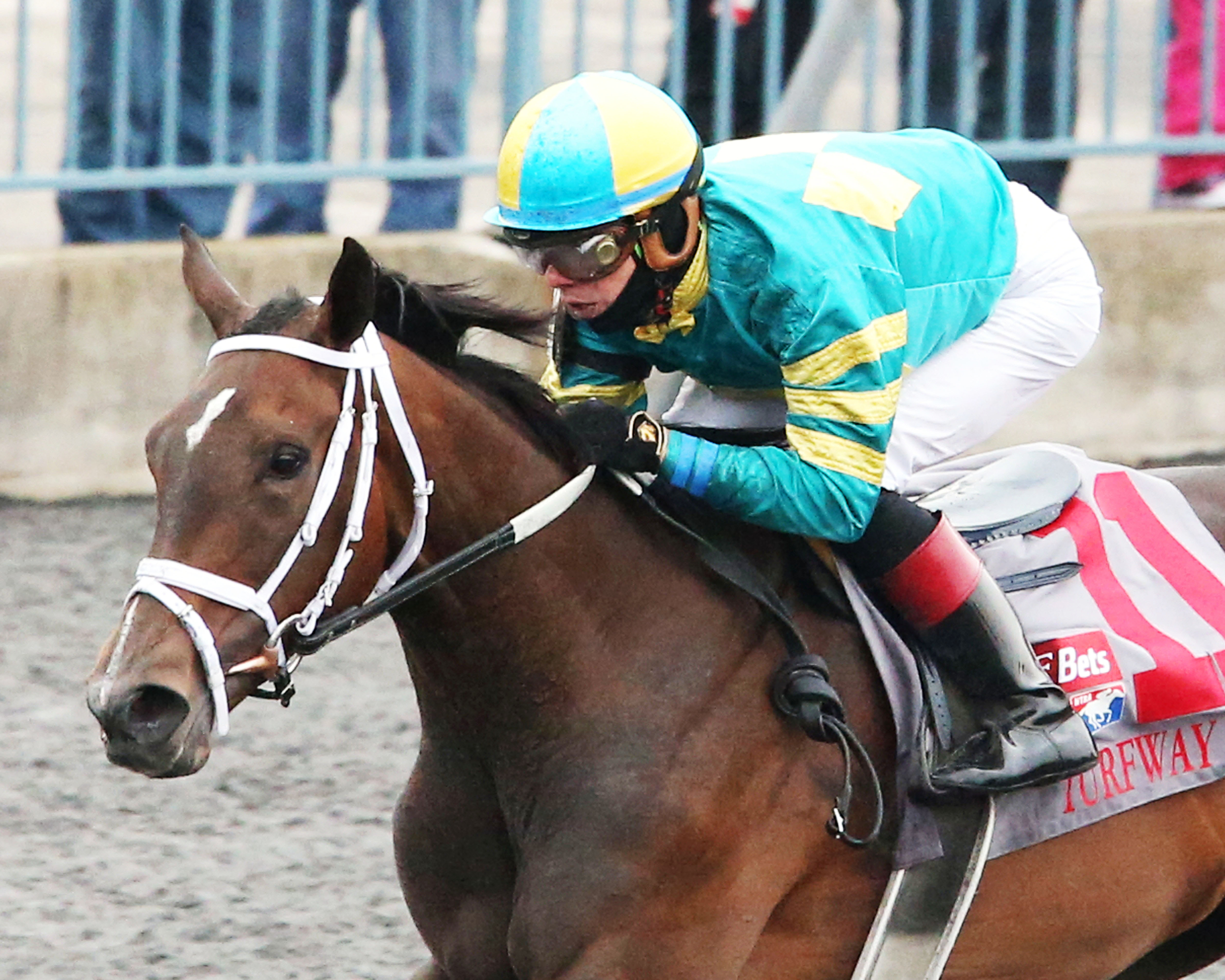 Go Noni Go wins the 2018 Bourbonette Oaks