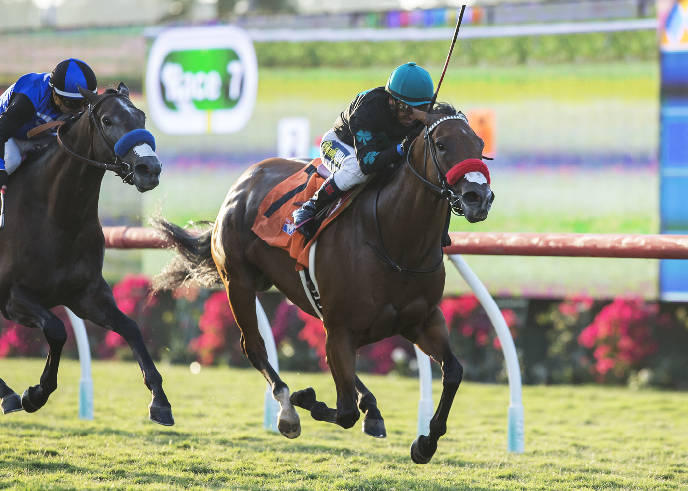 Go On Mary wins the Daisycutter Handicap