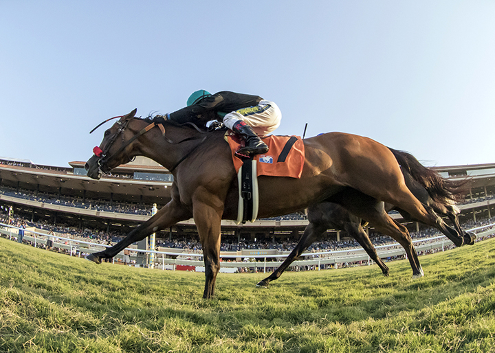 Go On Mary wins the 2018 Daisycutter Handicap