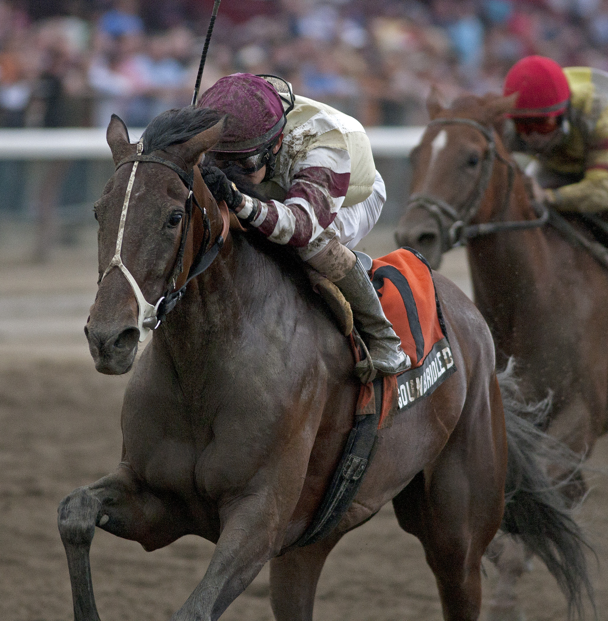 Go Unbridled/Saratoga Dew