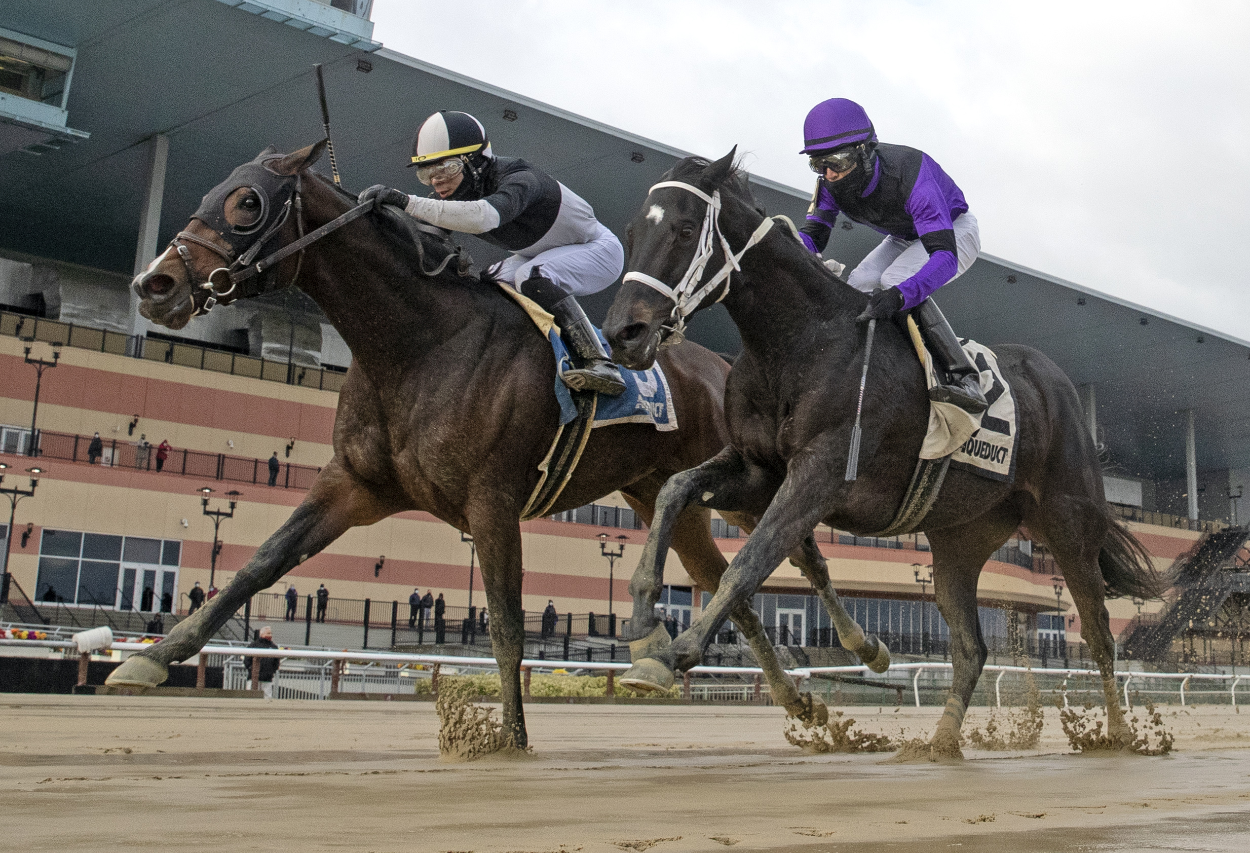 Sharp Star wins Go for Wand 12-5-2020