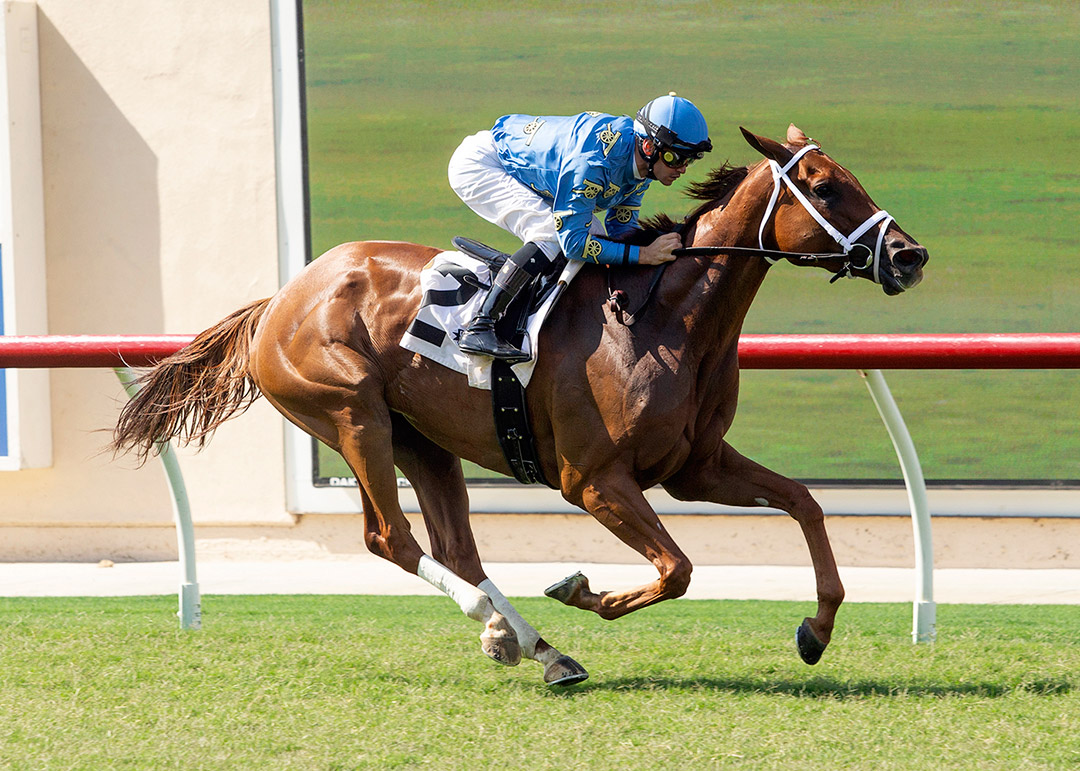Go Big Blue Nation wins a July 2021 optional claiming race at Del Mar