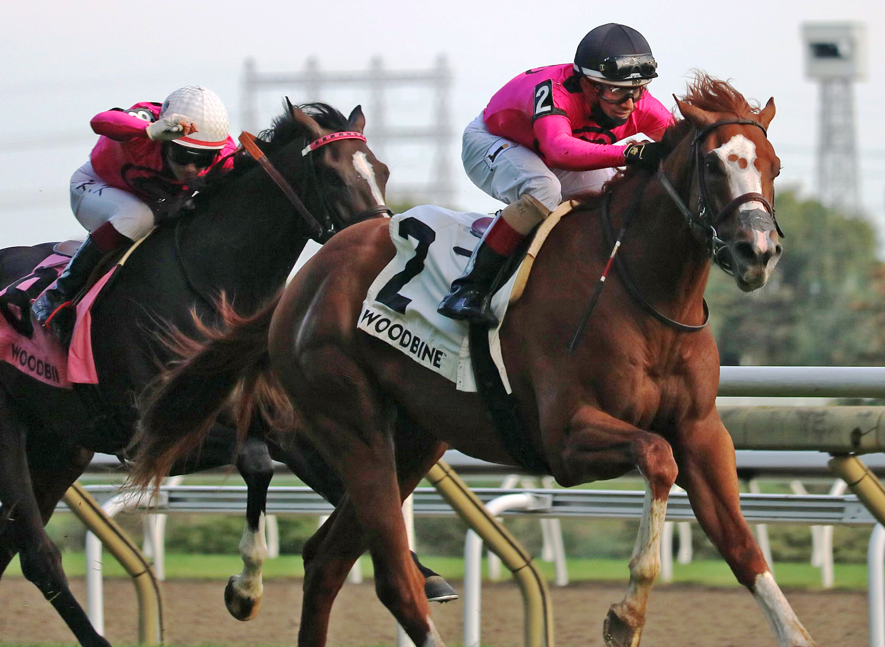 God of Love (right) wins Cup and Saucer 10-10-2021