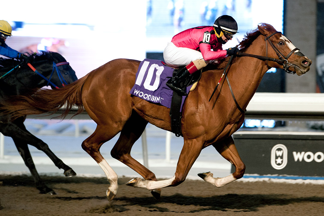 God of Love wins the 2021 Grey Stakes at Woodbine