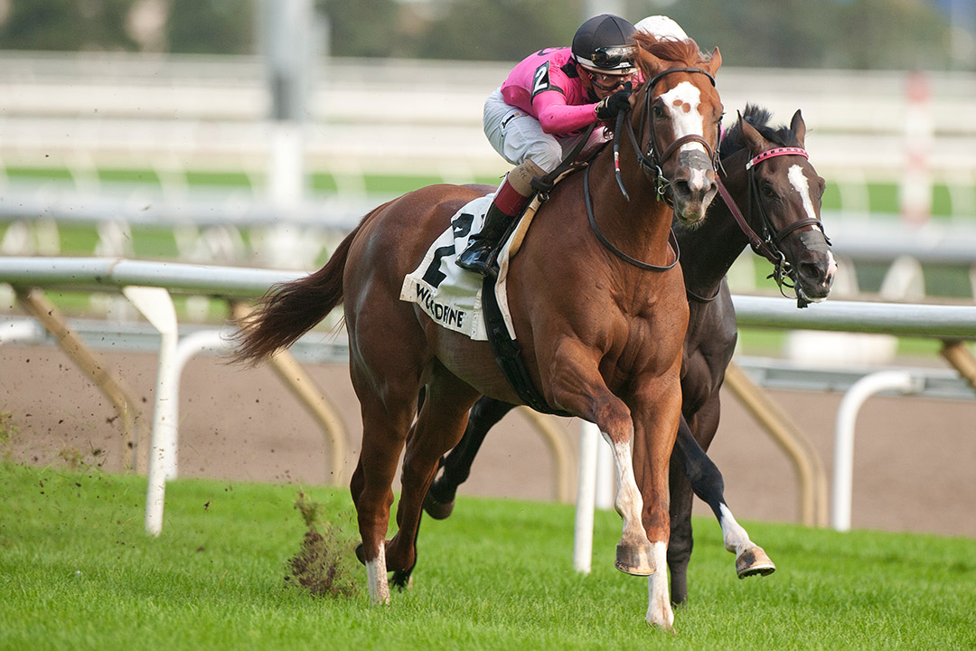 God of Love wins the 2021 Cup and Saucer Stakes at Woodbine
