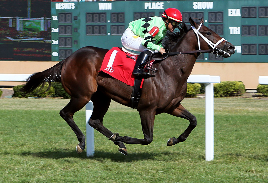 Goin' Good wins a September 2020 maiden at Indiana Grand