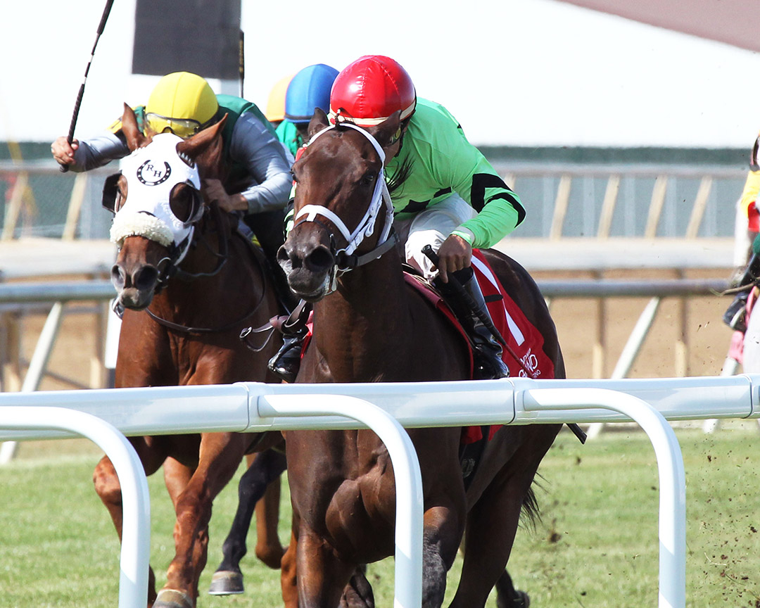 Goin' Good wins a Sept. 21 maiden race at Indiana Grand