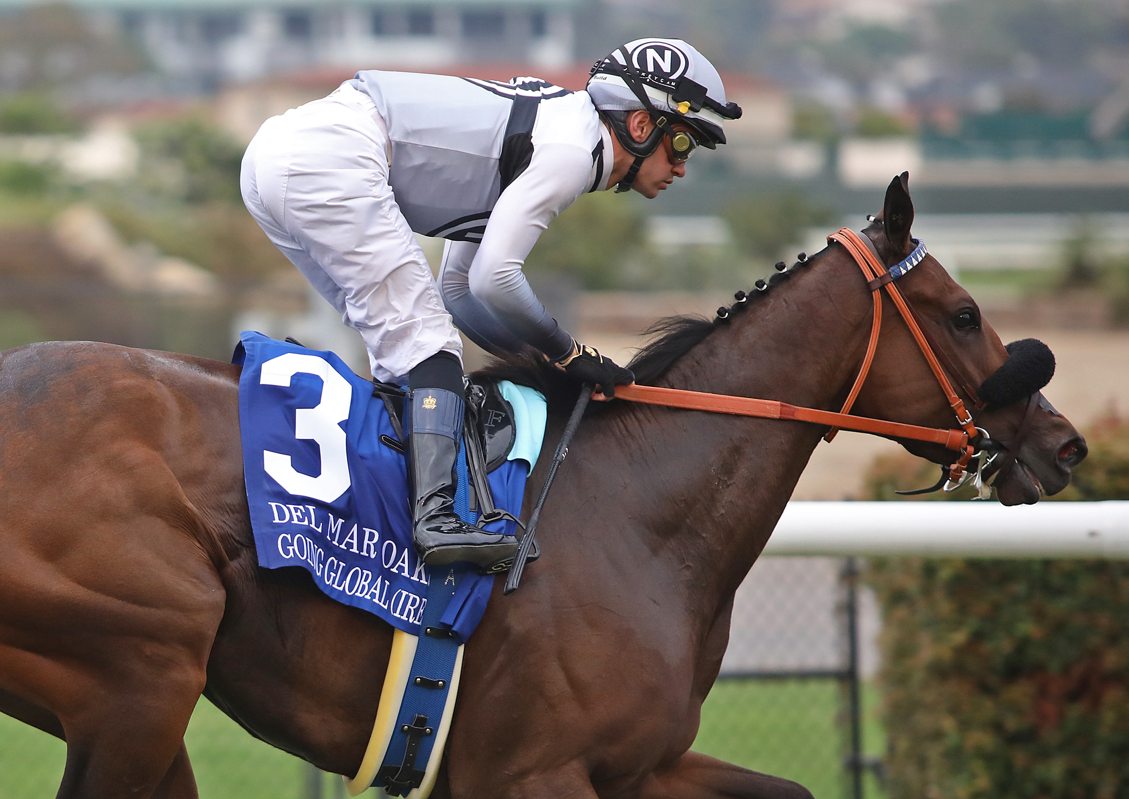 Going Global - DMR Oaks 2021