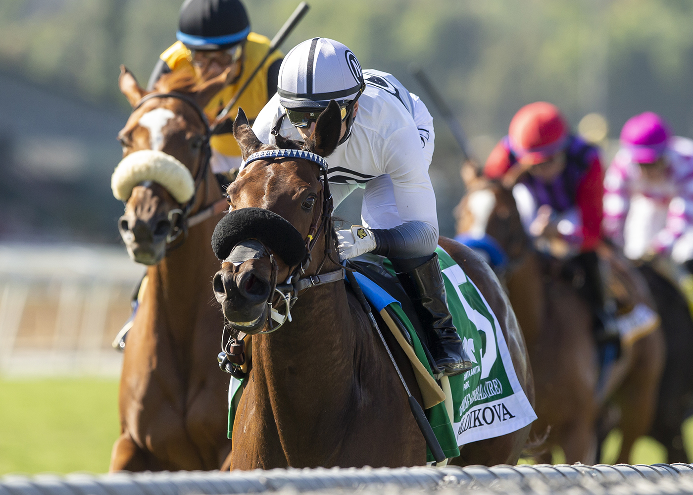 Going Global, Goldikova