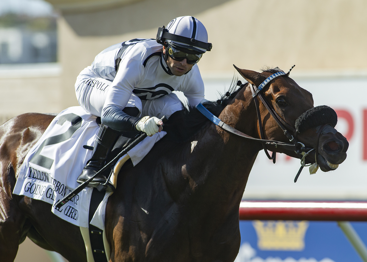 Going Global wins Yellow Ribbon 8-13-2022
