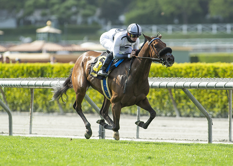Going Global wins Honeymoon Stakes 5-22-2021