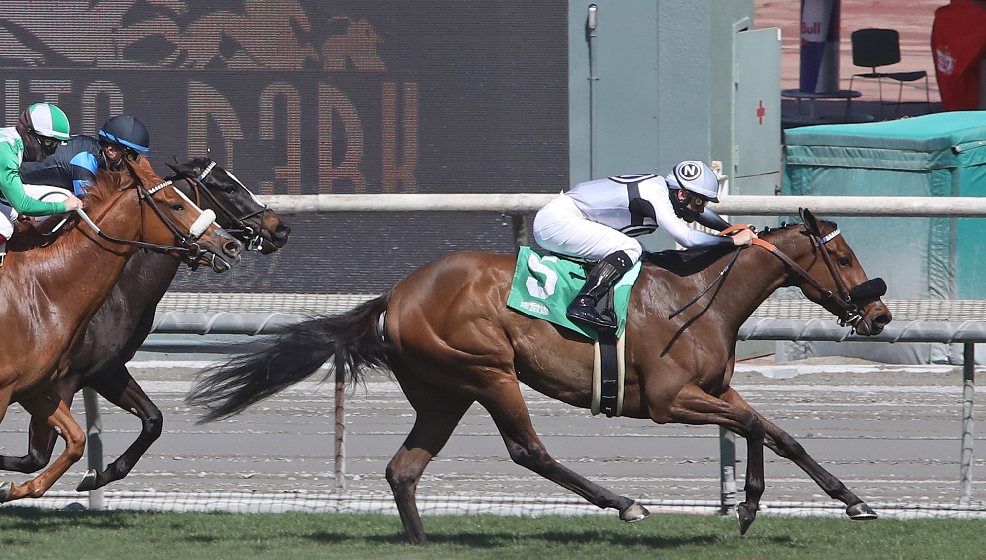 Going Global wins China Doll 3-6-2021