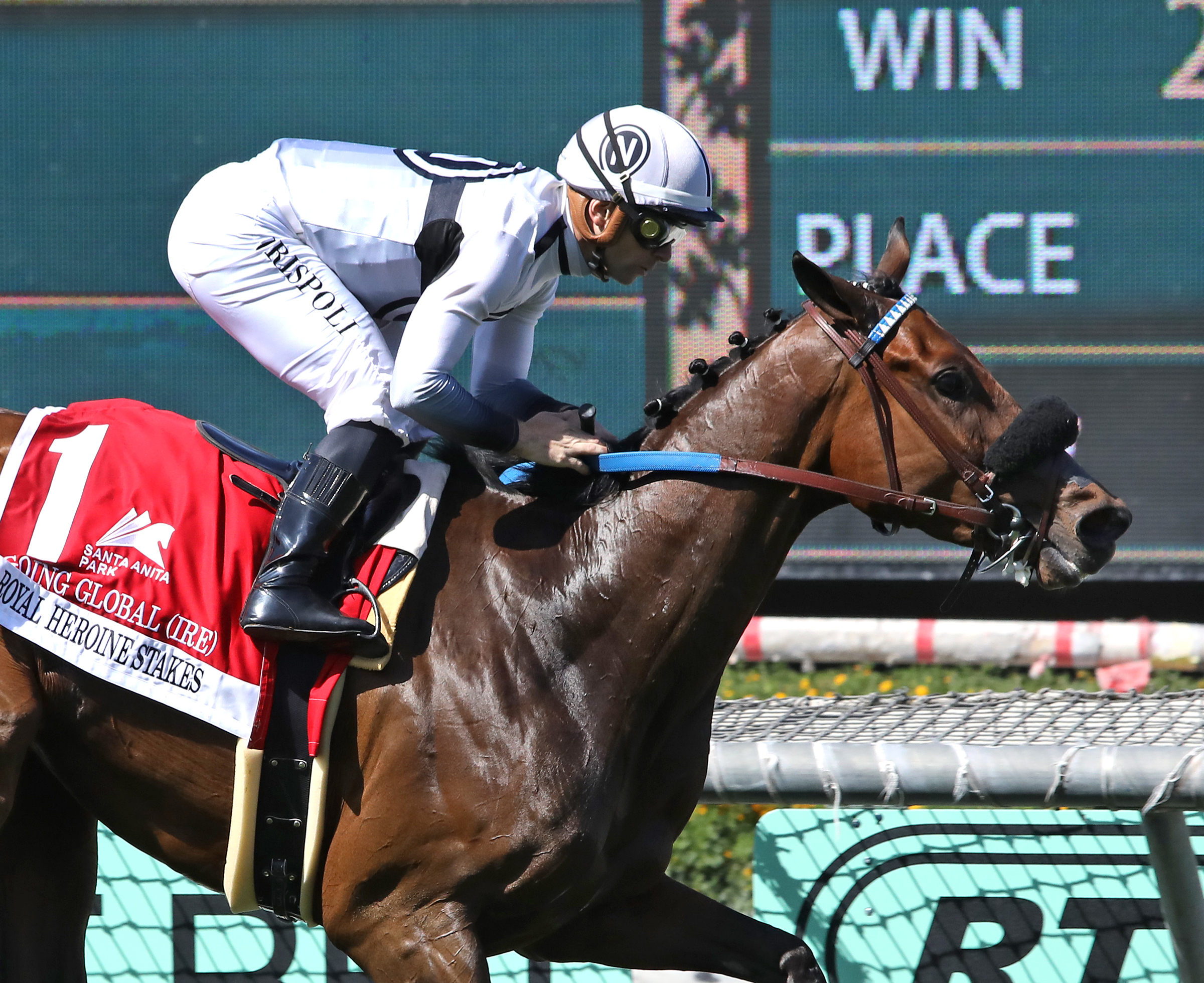 Going Global wins Royal Heroine 4-9-2022