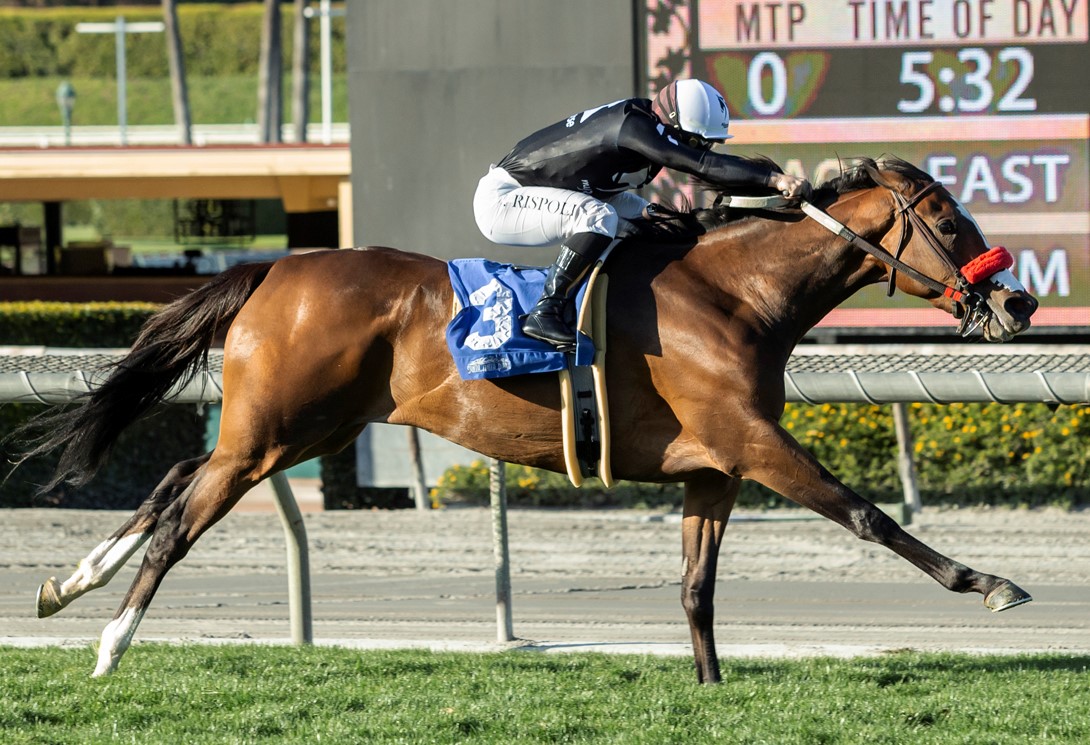 Going to Vegas wins the Santa Ana at Santa Anita.3-27-2021