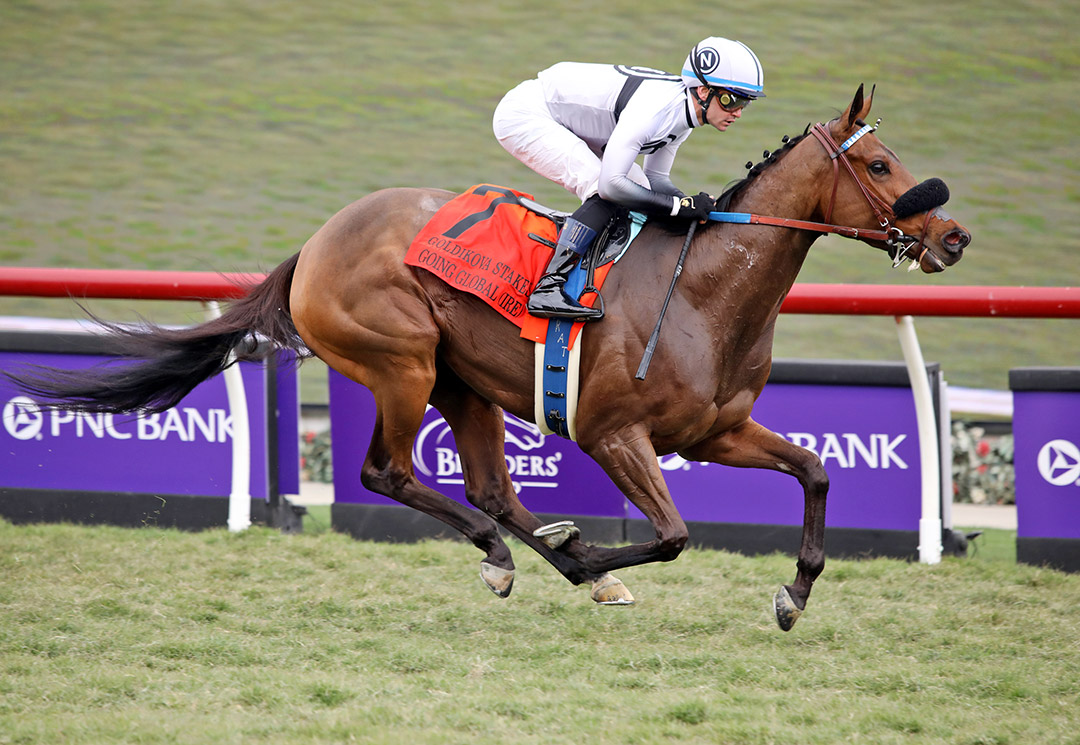 Going Global wins the 2021 Goldikova Stakes at Del Mar