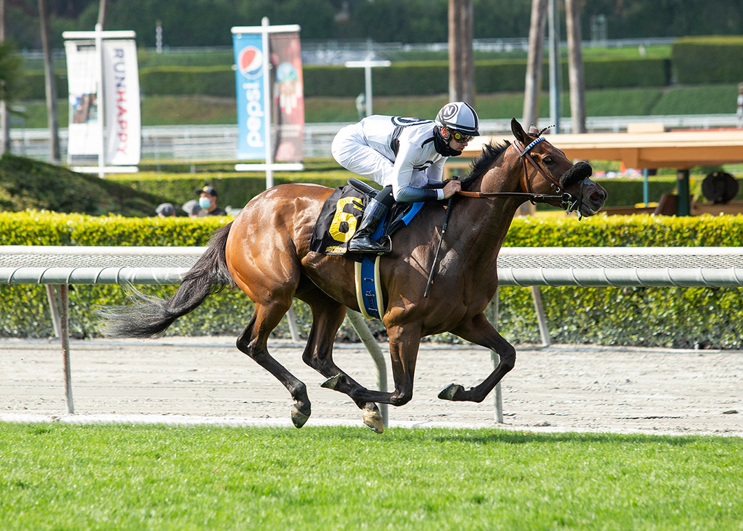Going Global wins the 2021 Honeymoon Stakes at Santa Anita Park