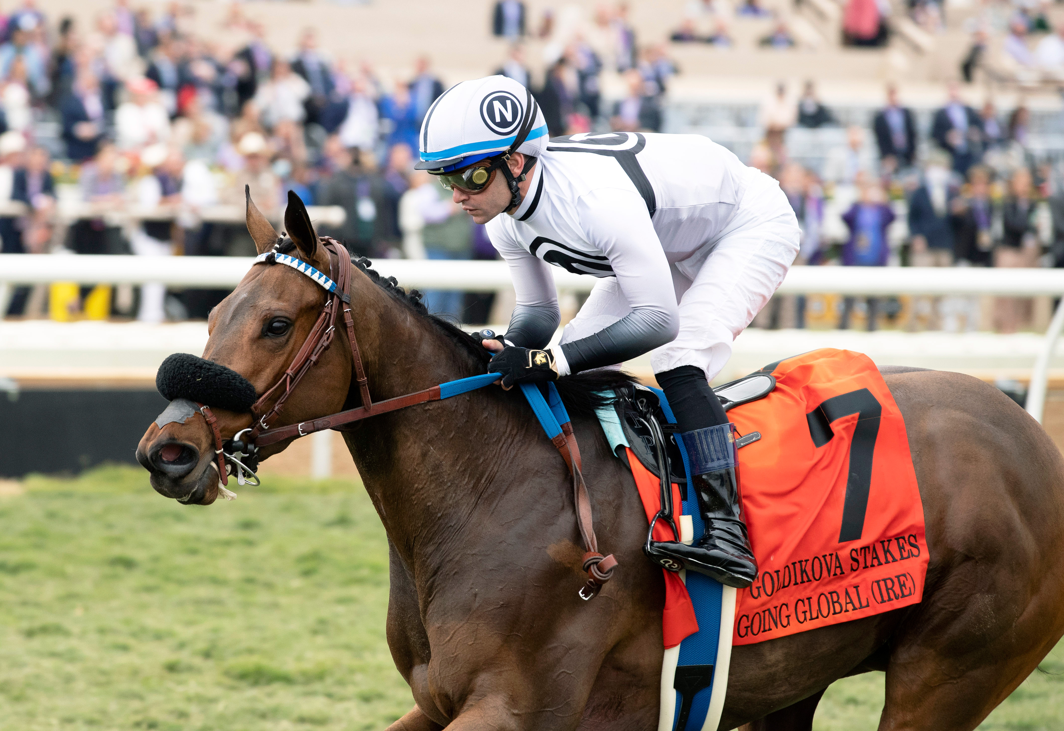 Going Global wins the 2021 Goldikova Stakes at Del Mar