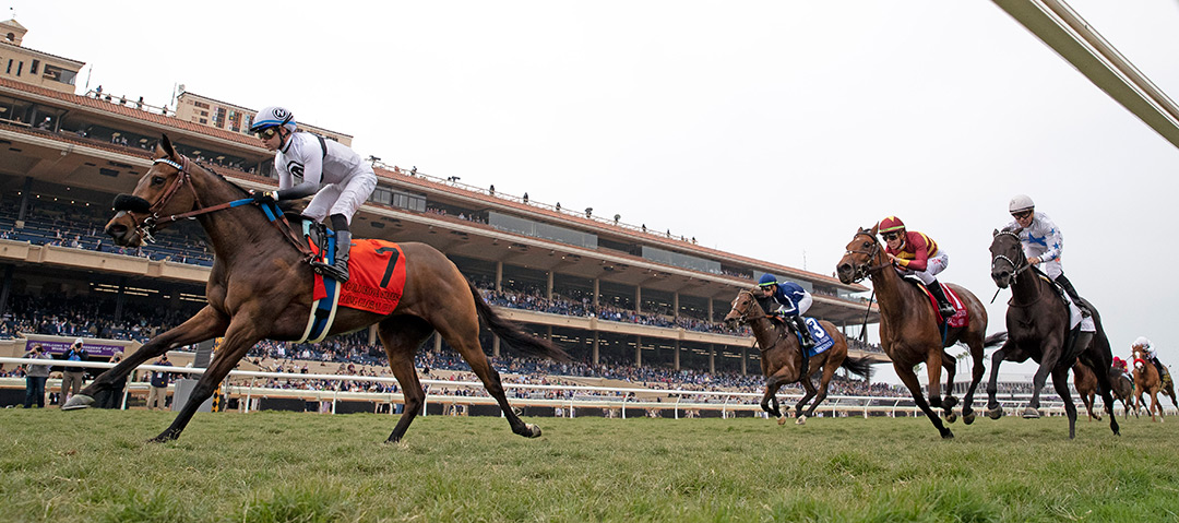Going Global wins the 2021 Goldikova Stakes at Del Mar Thoroughbred Club