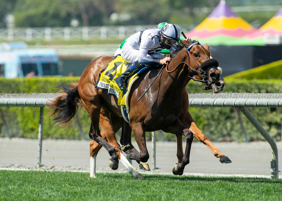 Going Global wins the 2021 Providencia Stakes at Santa Anita Park