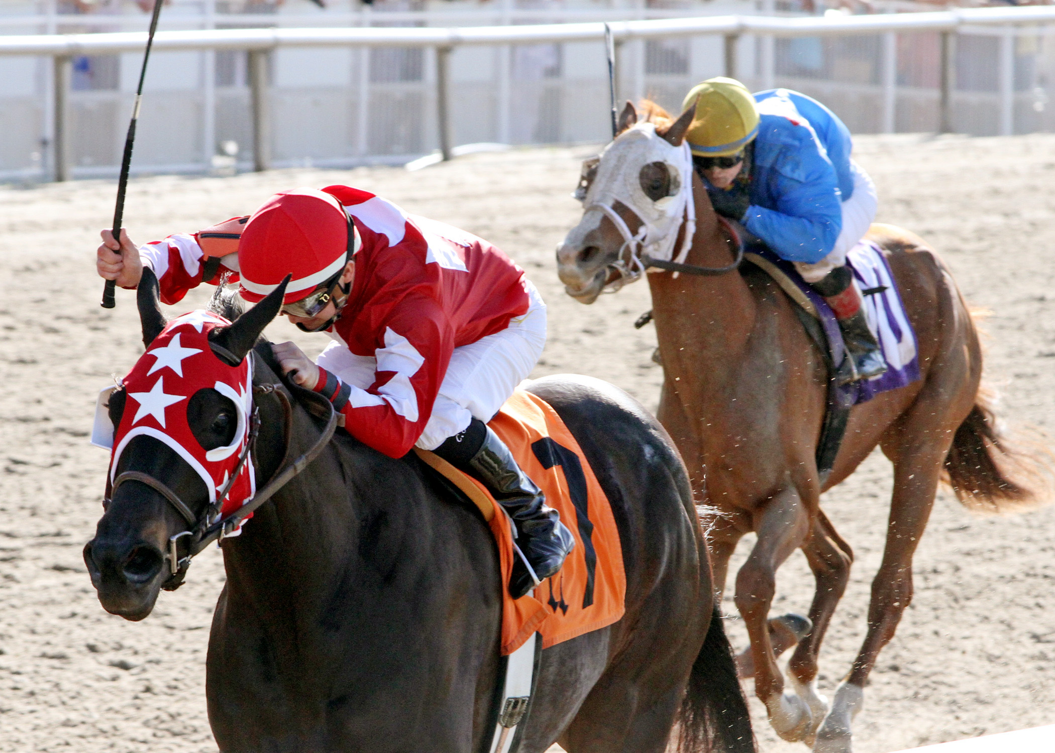 Gold Appointment wins Crescent City Derby