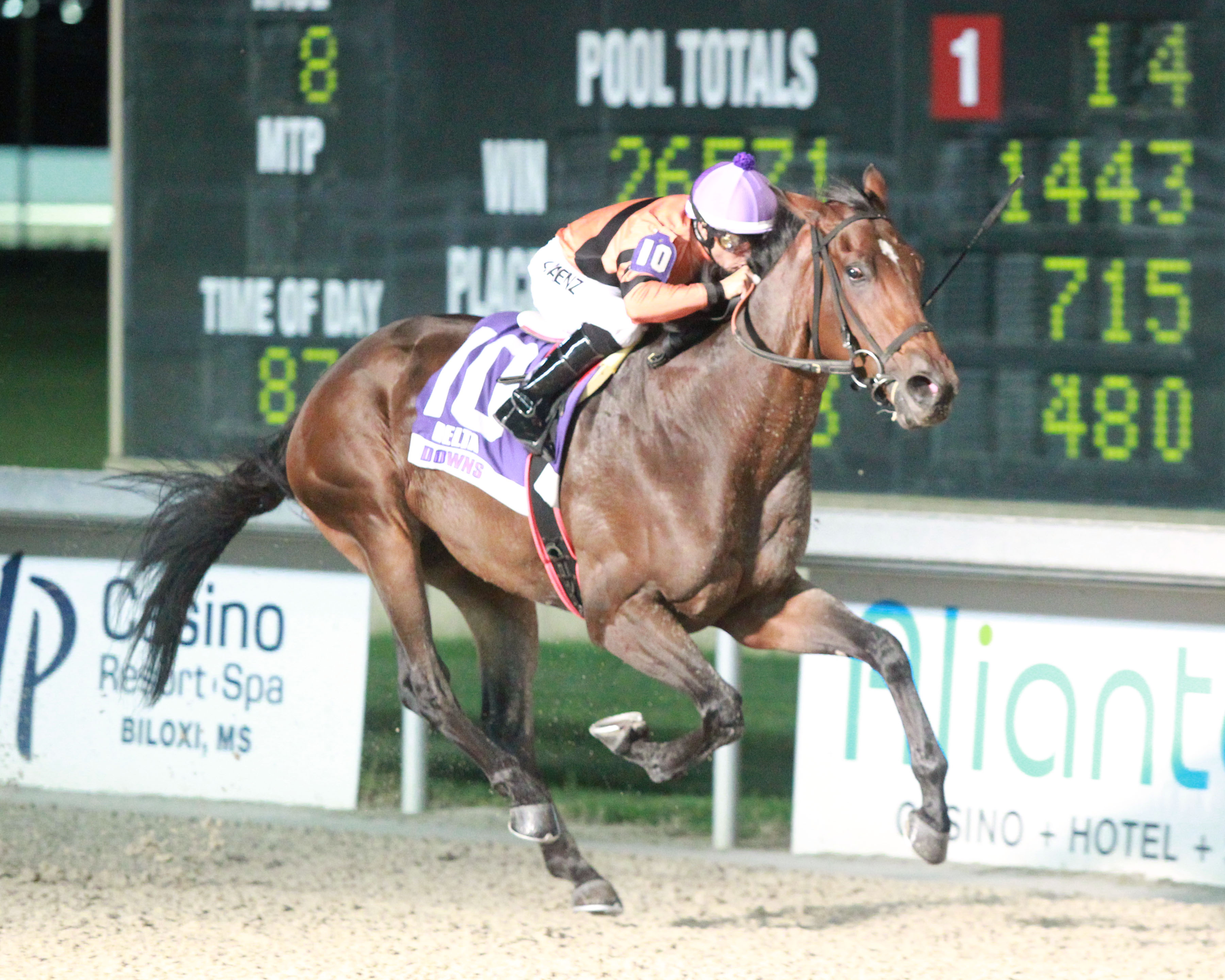 Trevilion wins the 2019 Delta Downs Gold Cup