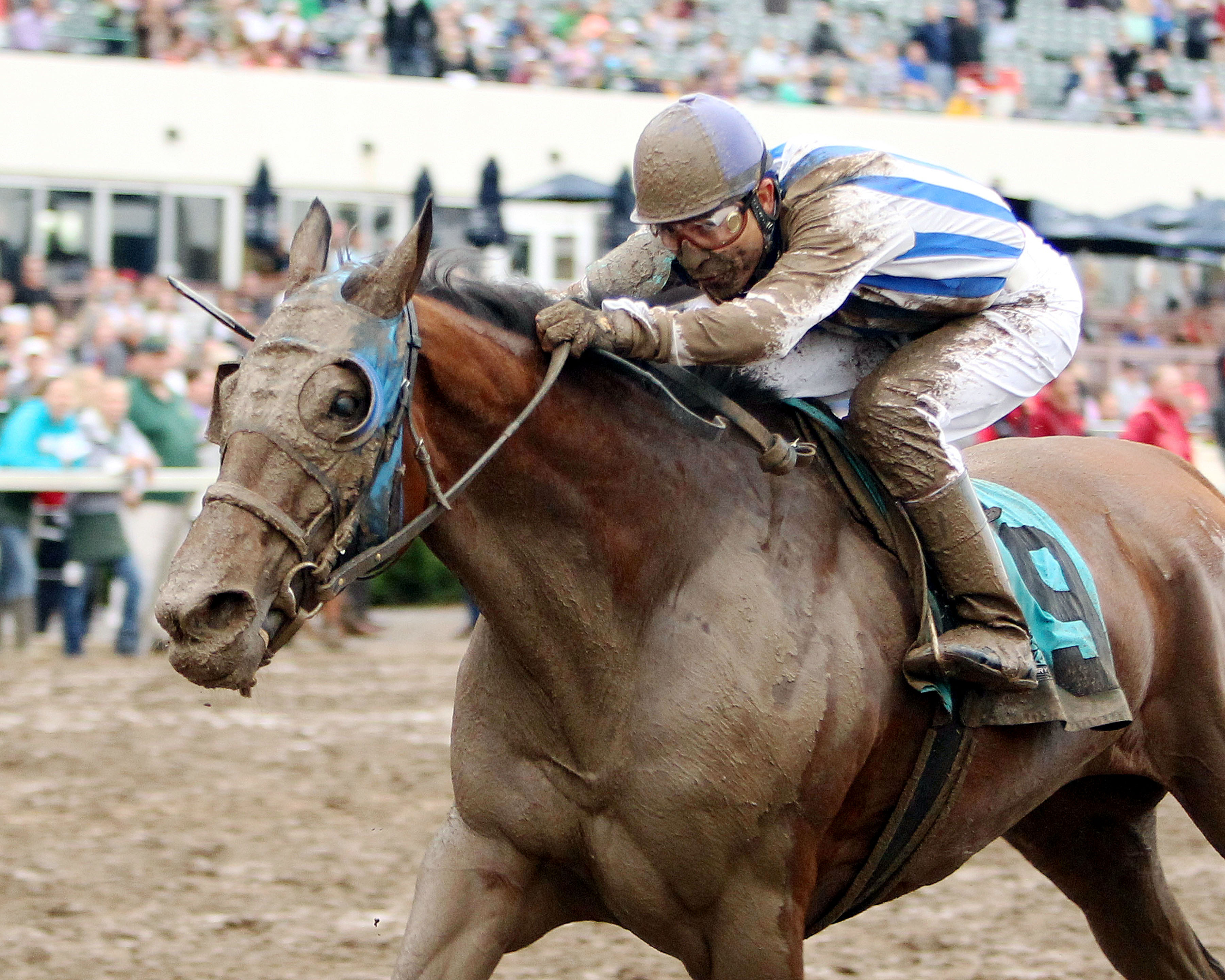 Gold Medal Dancer wins the Minnesota H.B.P.A. Distaff