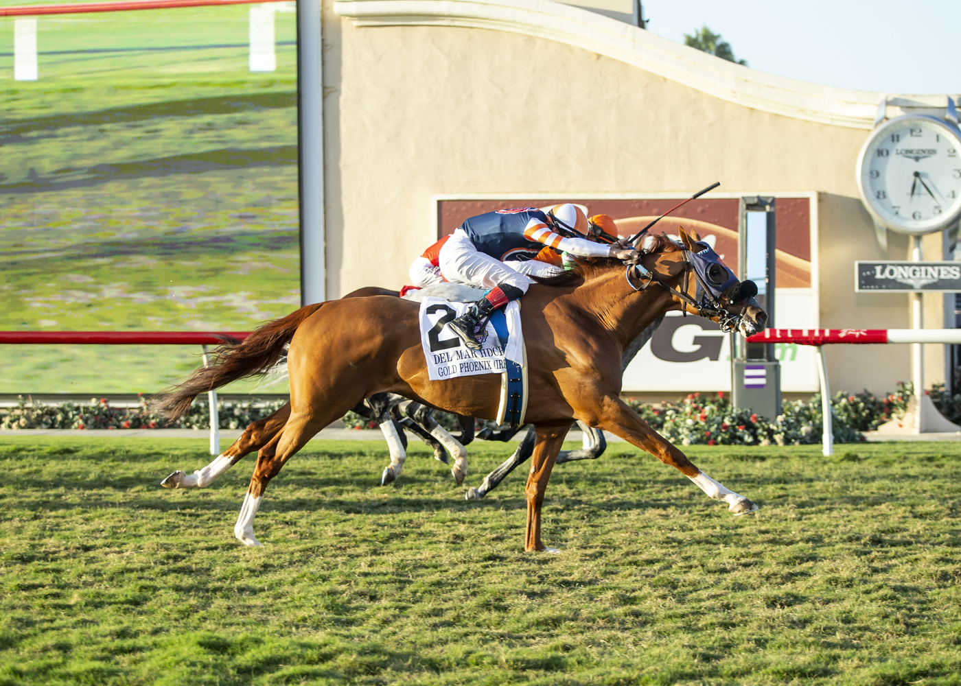 Gold Phoenix - Del Mar H. 2022
