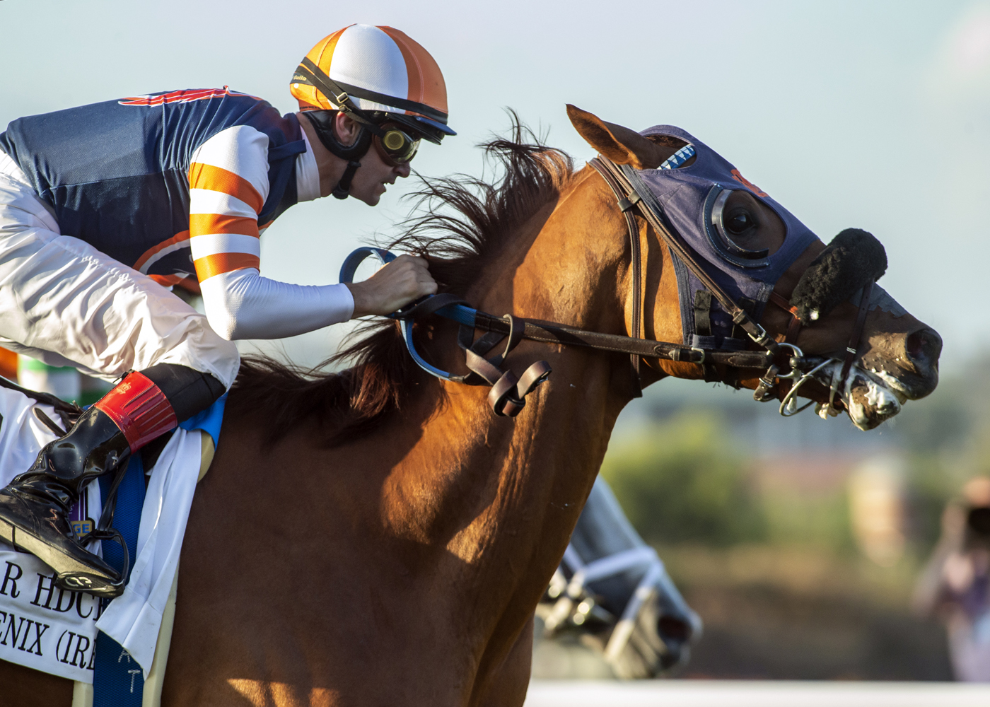 Gold Phoenix wins Del Mar Handicap 9-3-2022