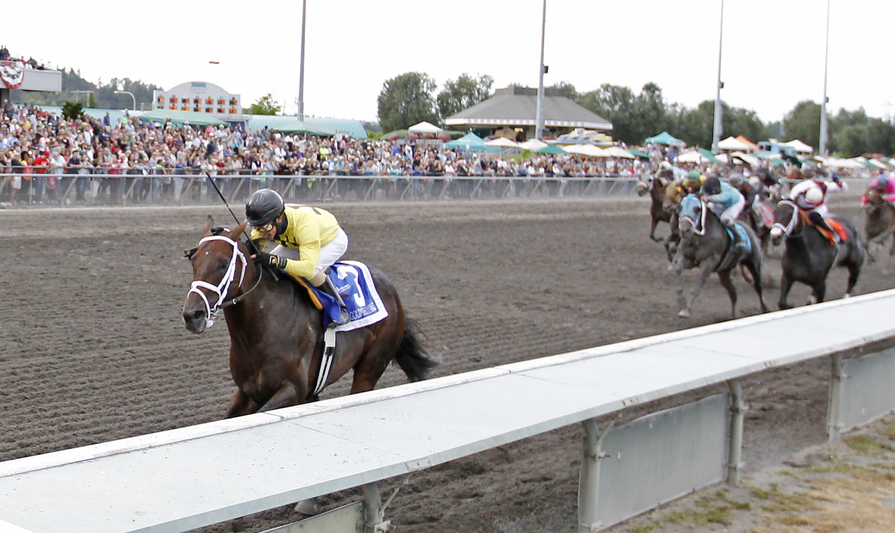 Gold Rush Dancer wins the 2017 Longacres Mile