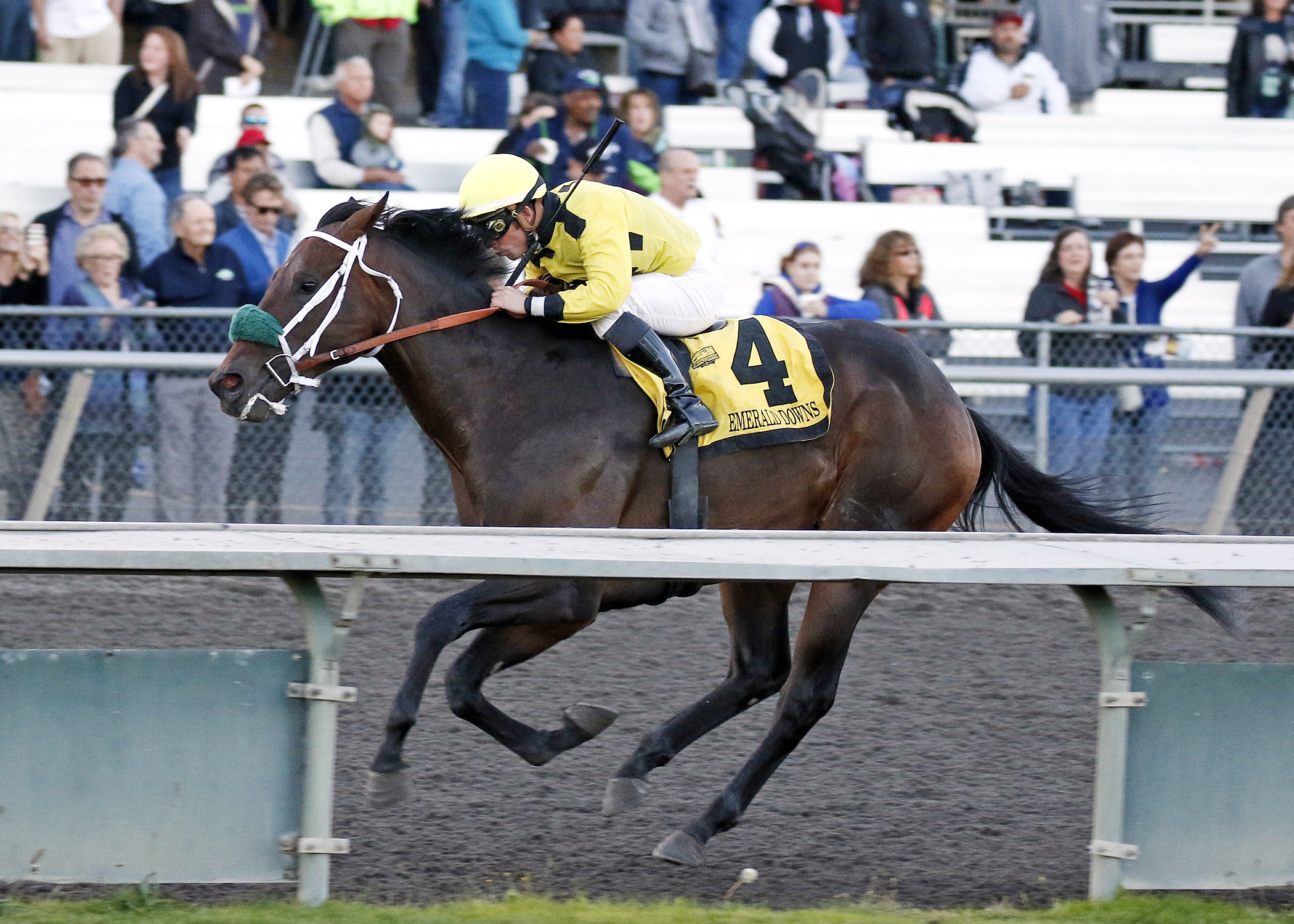 Gold Rush Dancer wins the Gottstein Futurity