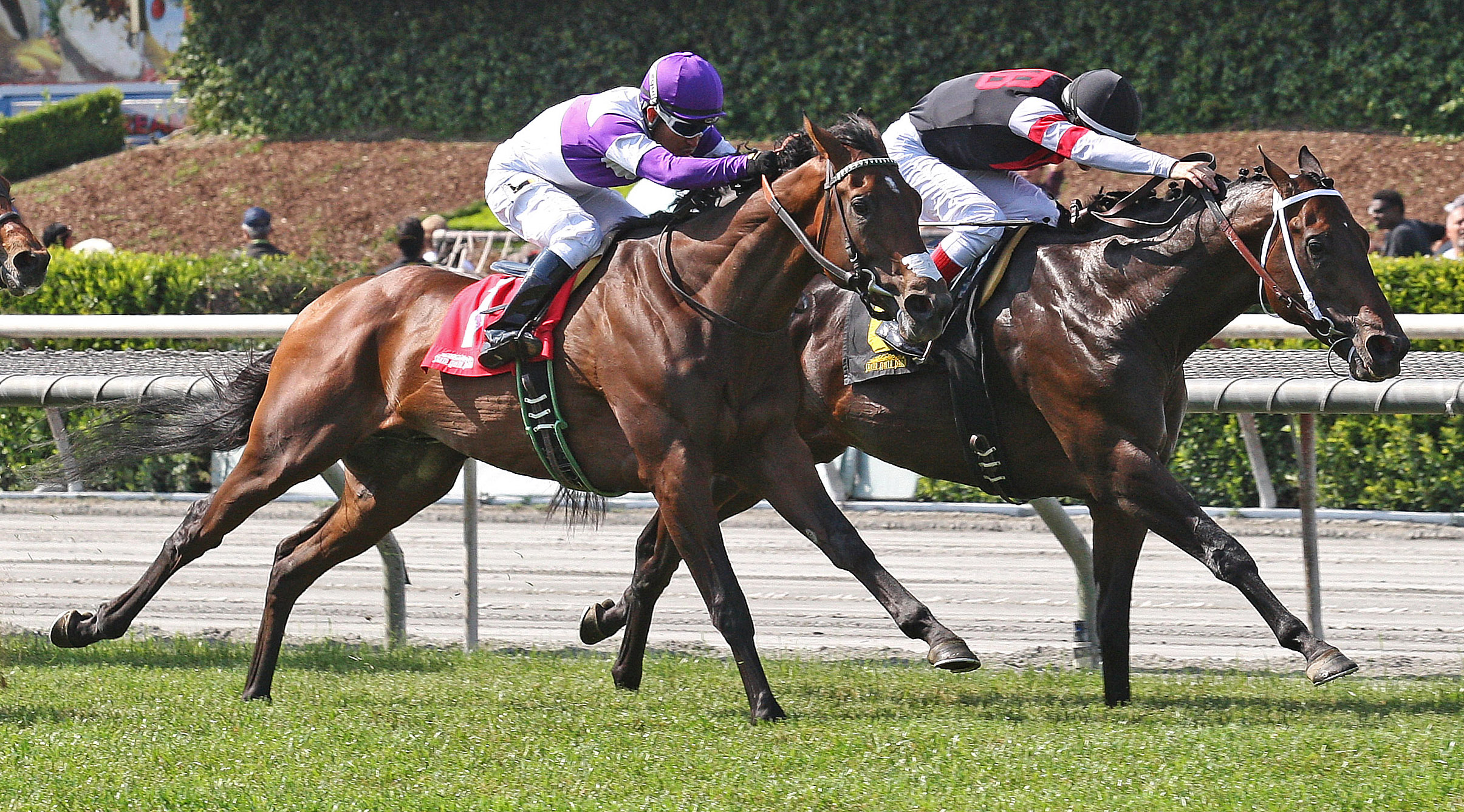 Ralis finishes second in the Snow Chief Stakes
